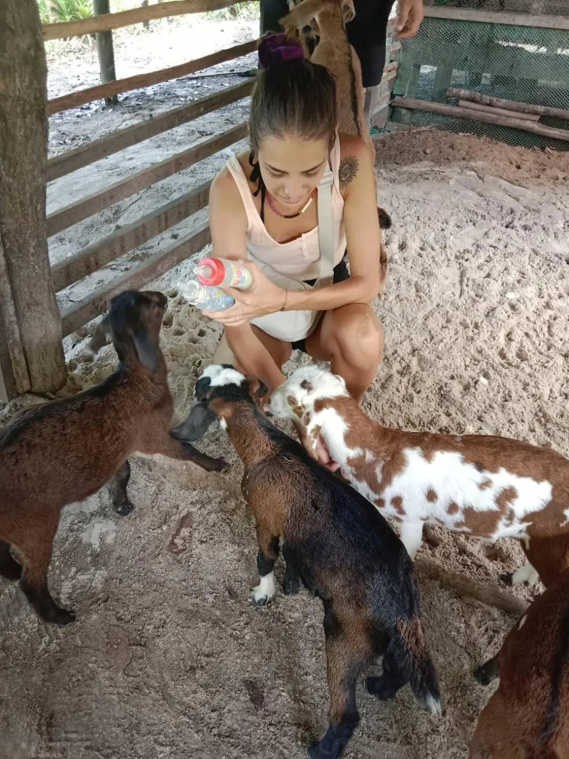 Activities in YaoIsland Resort and Farm