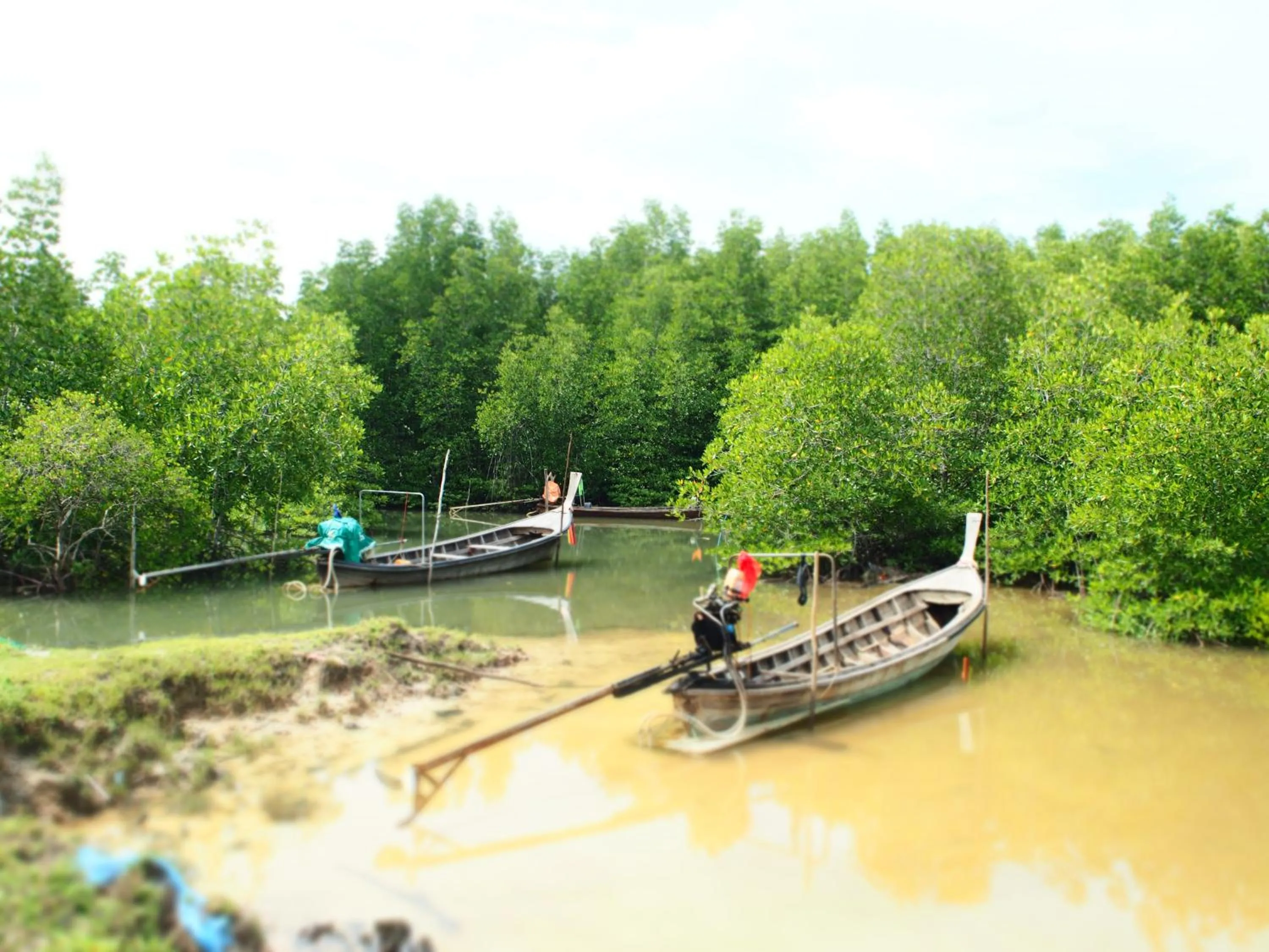 View (from property/room) in YaoIsland Resort and Farm