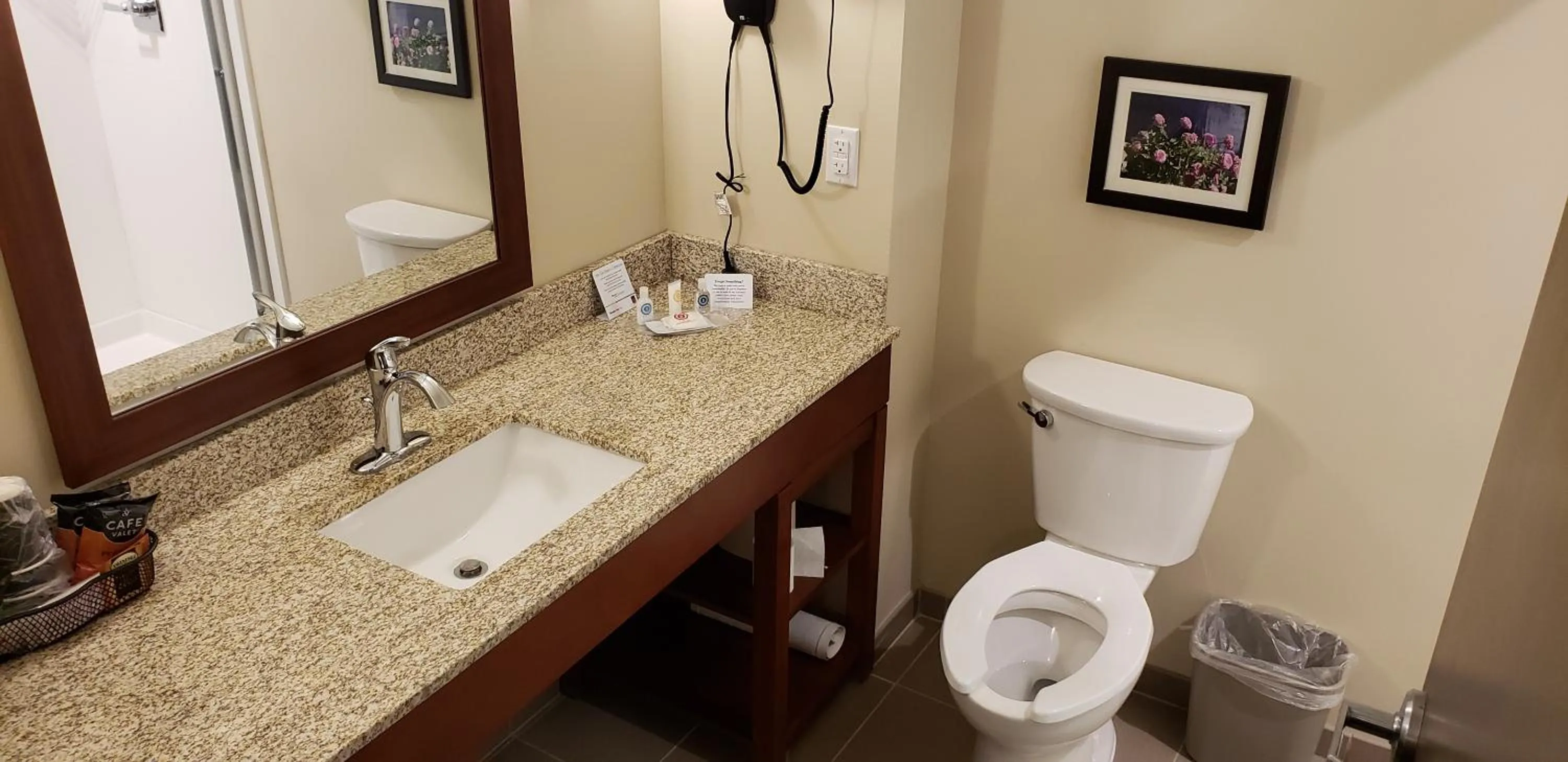Bathroom in Comfort Suites Denver near Anschutz Medical Campus