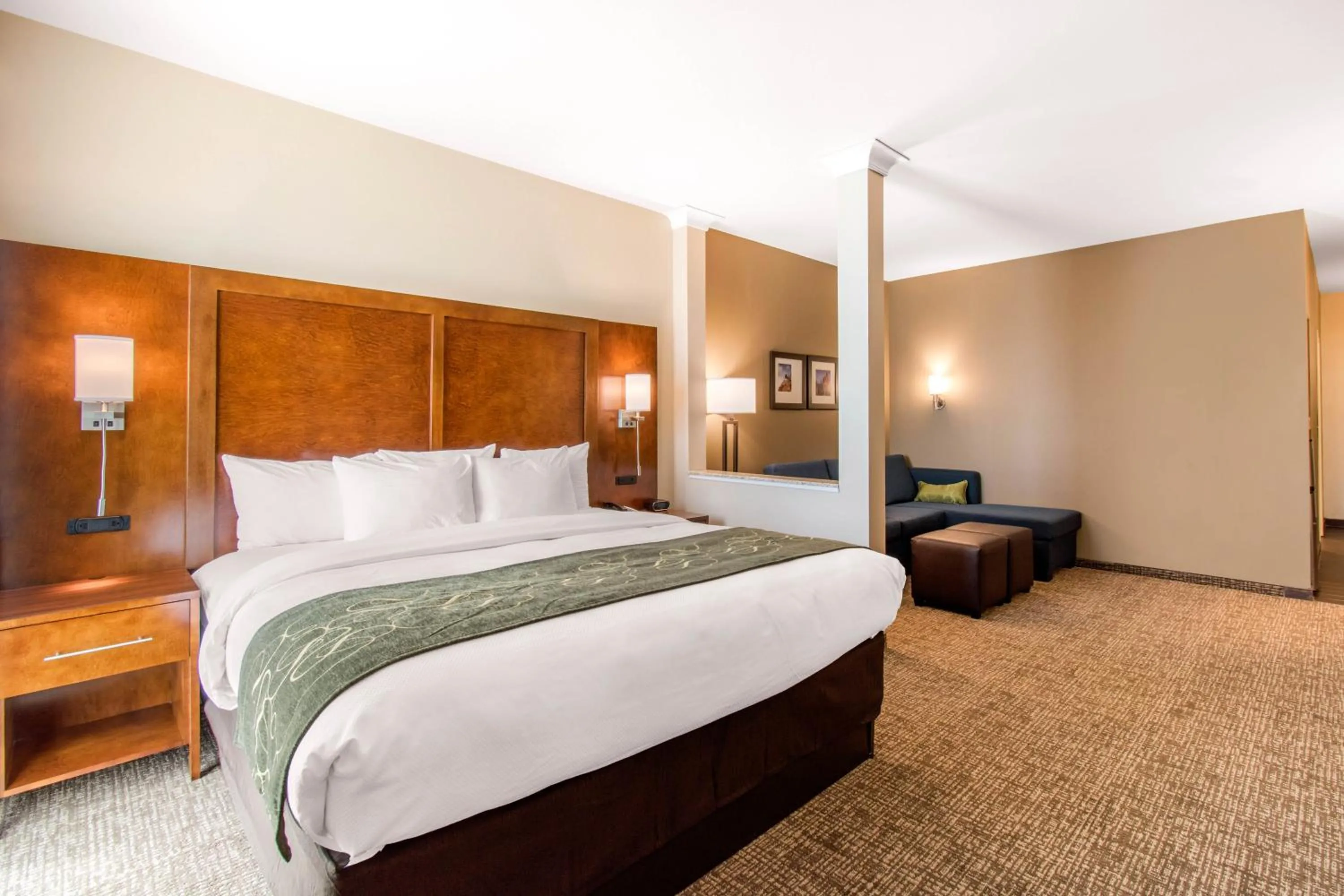 Seating area, Bed in Comfort Suites Denver near Anschutz Medical Campus