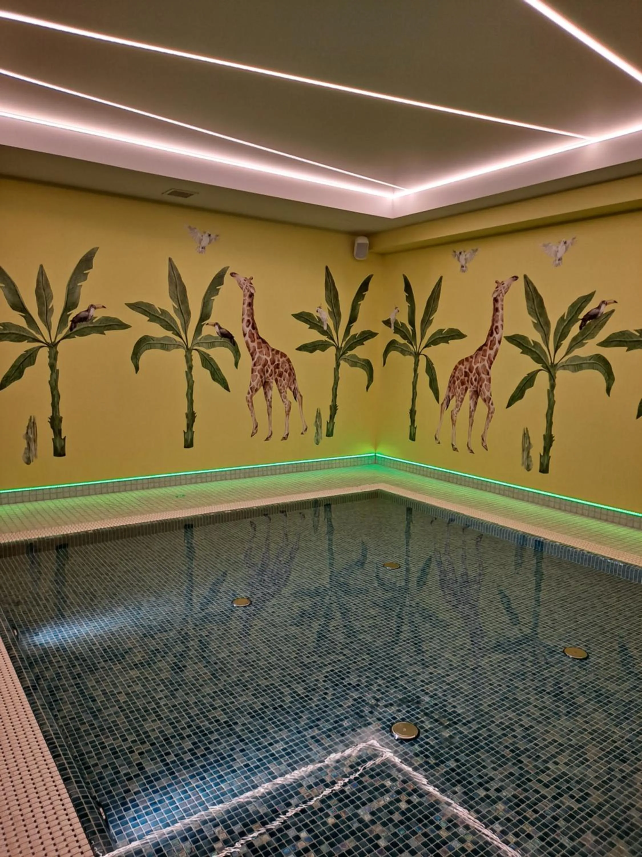Swimming pool in Hotel Avangarda