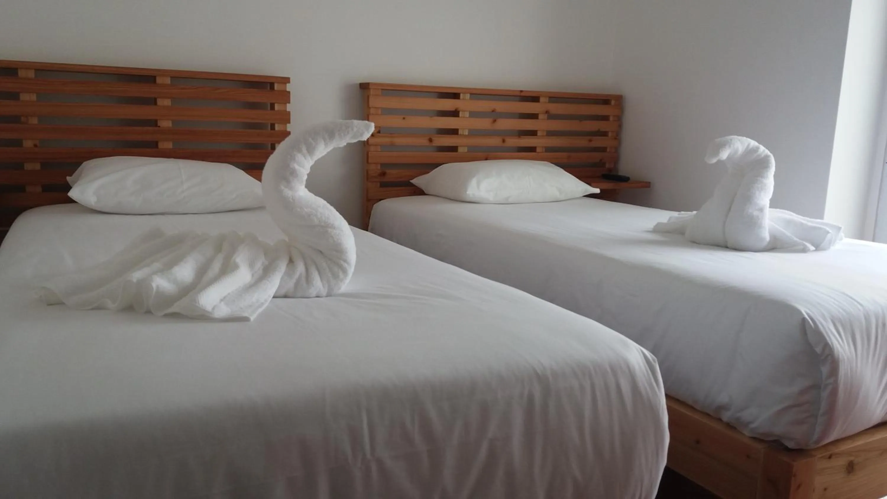 Bed in City's Hostel Ponta Delgada