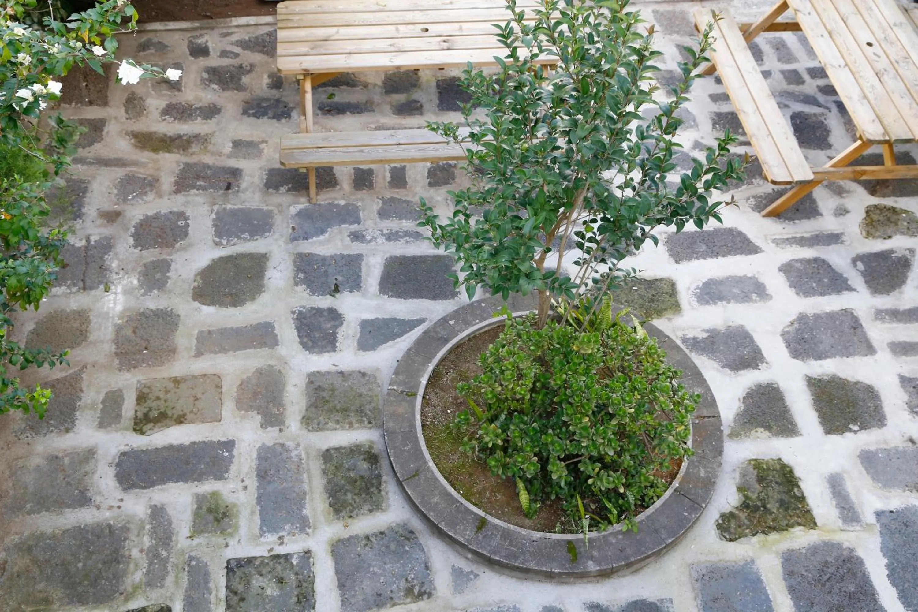 Property building in City's Hostel Ponta Delgada