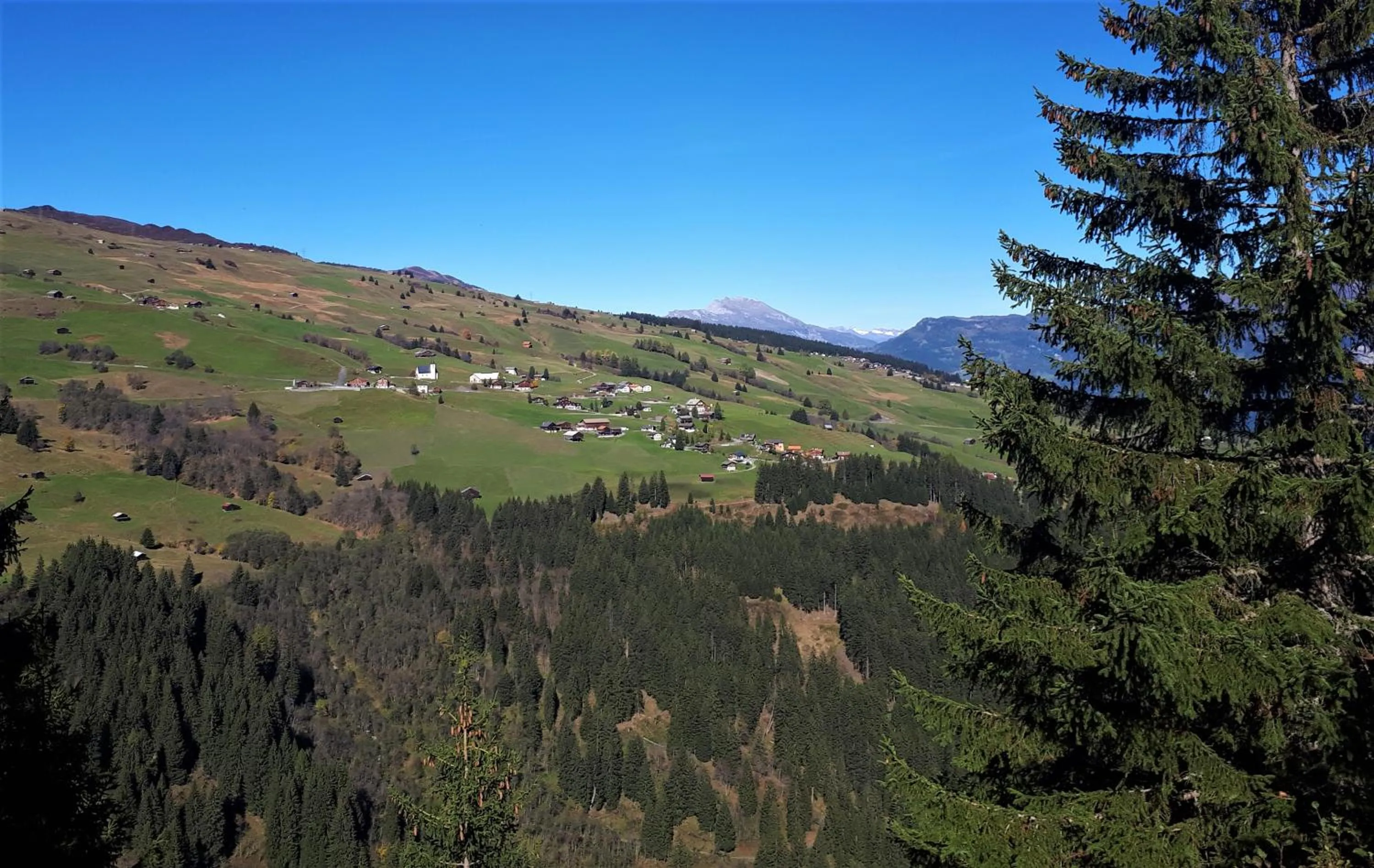 Natural landscape in Gasthaus Alpina