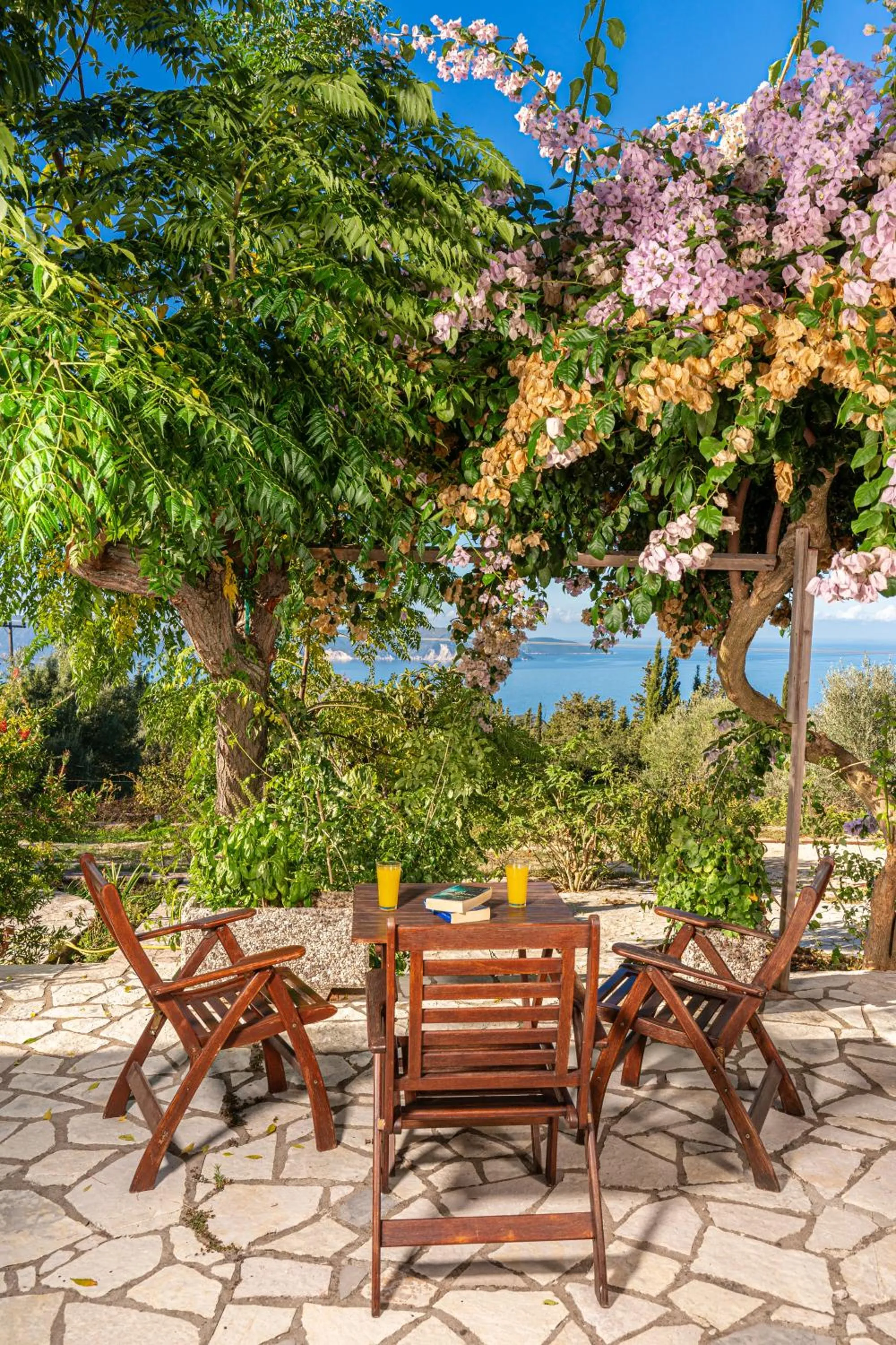 Garden in Panoramic Sunset
