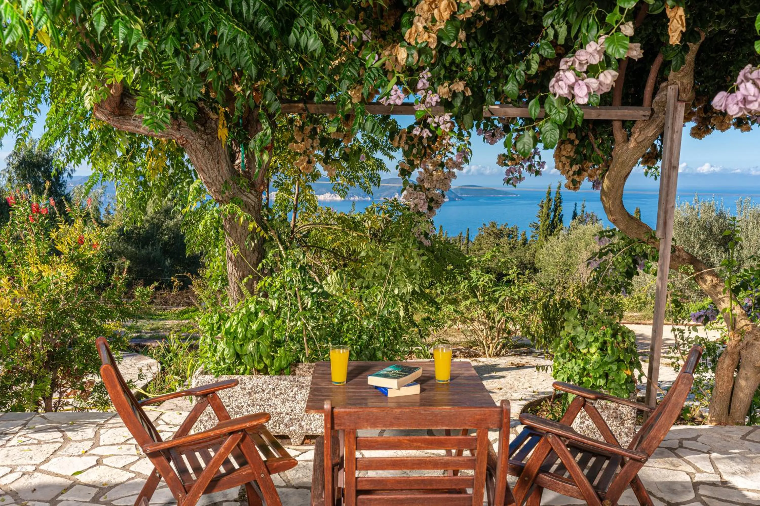Garden in Panoramic Sunset