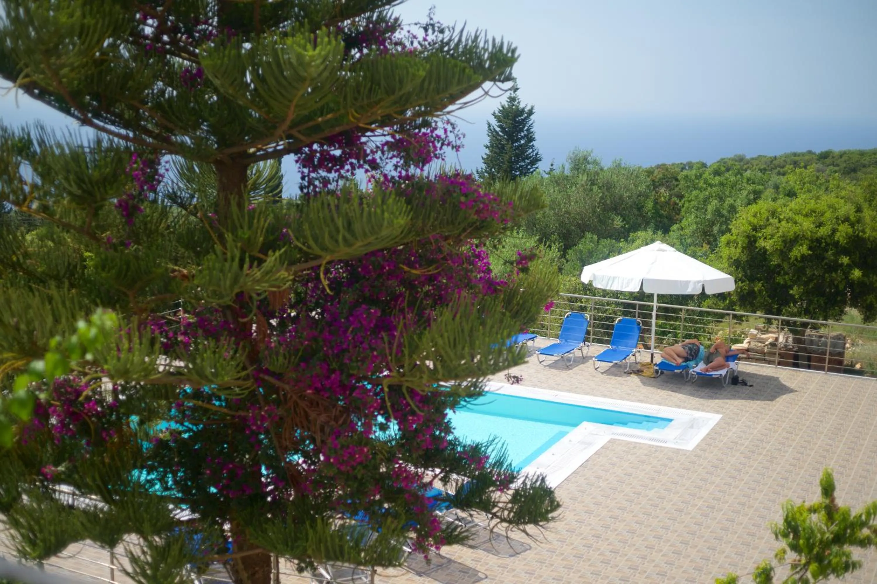 Pool view in Panoramic Sunset