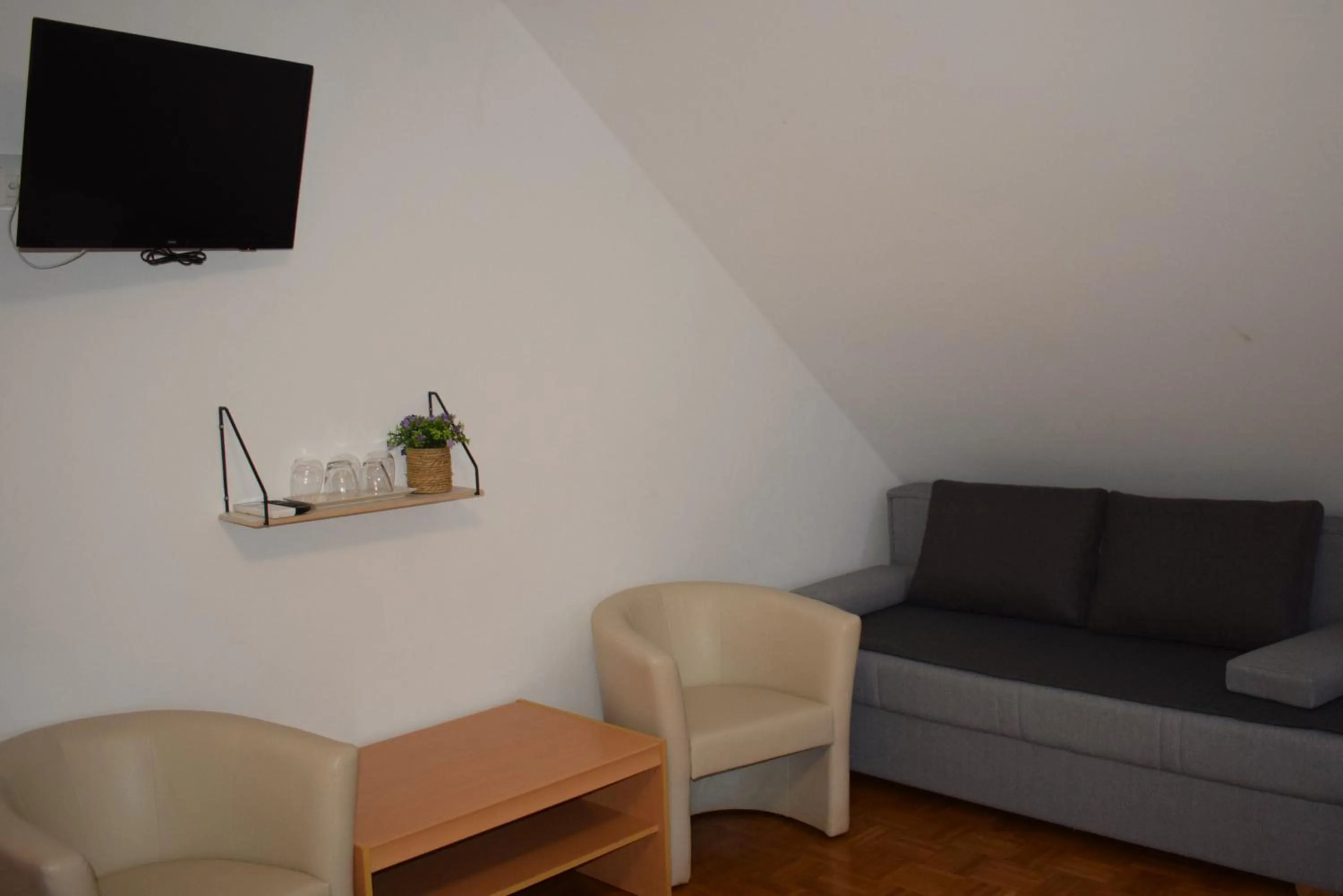 TV and multimedia in Farm Stay Zevnik