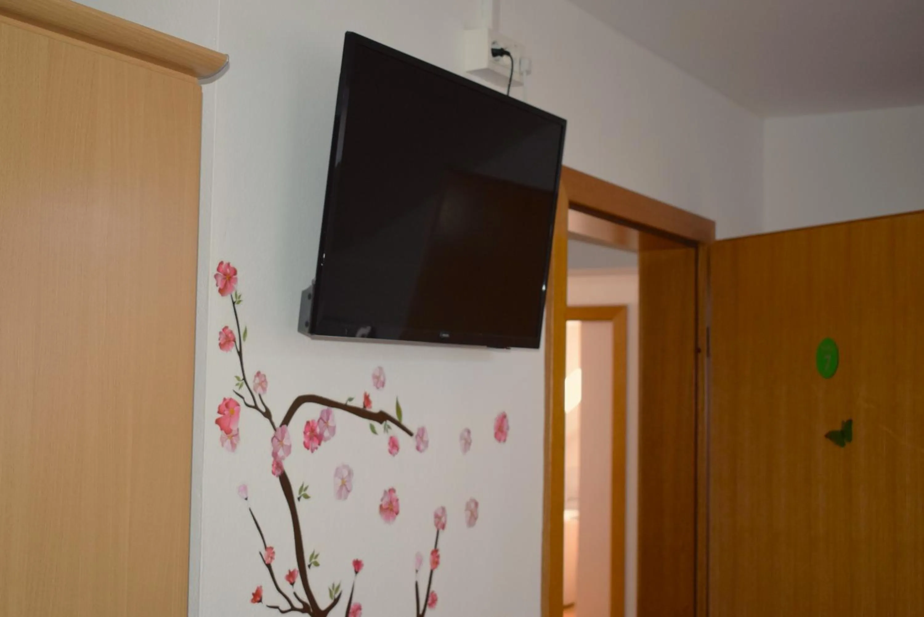 TV and multimedia in Farm Stay Zevnik