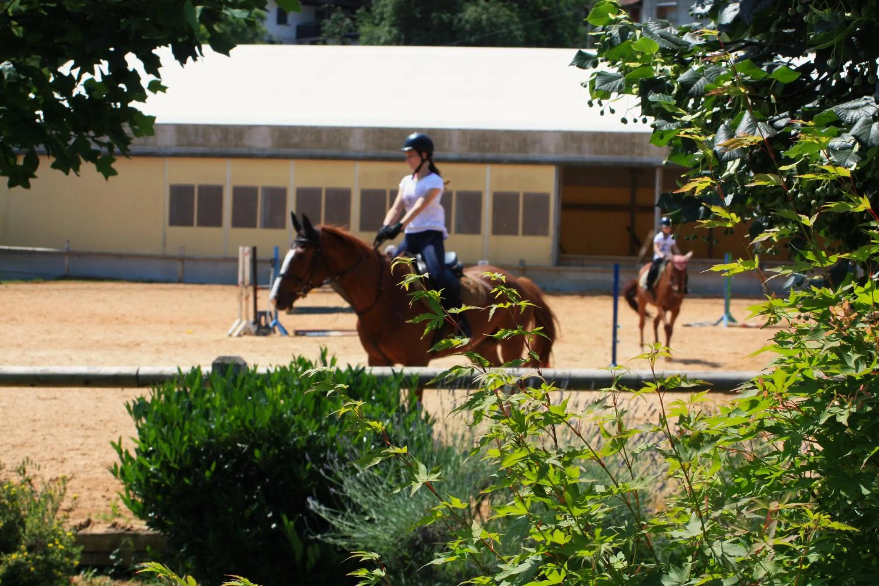 Day in Farm Stay Zevnik