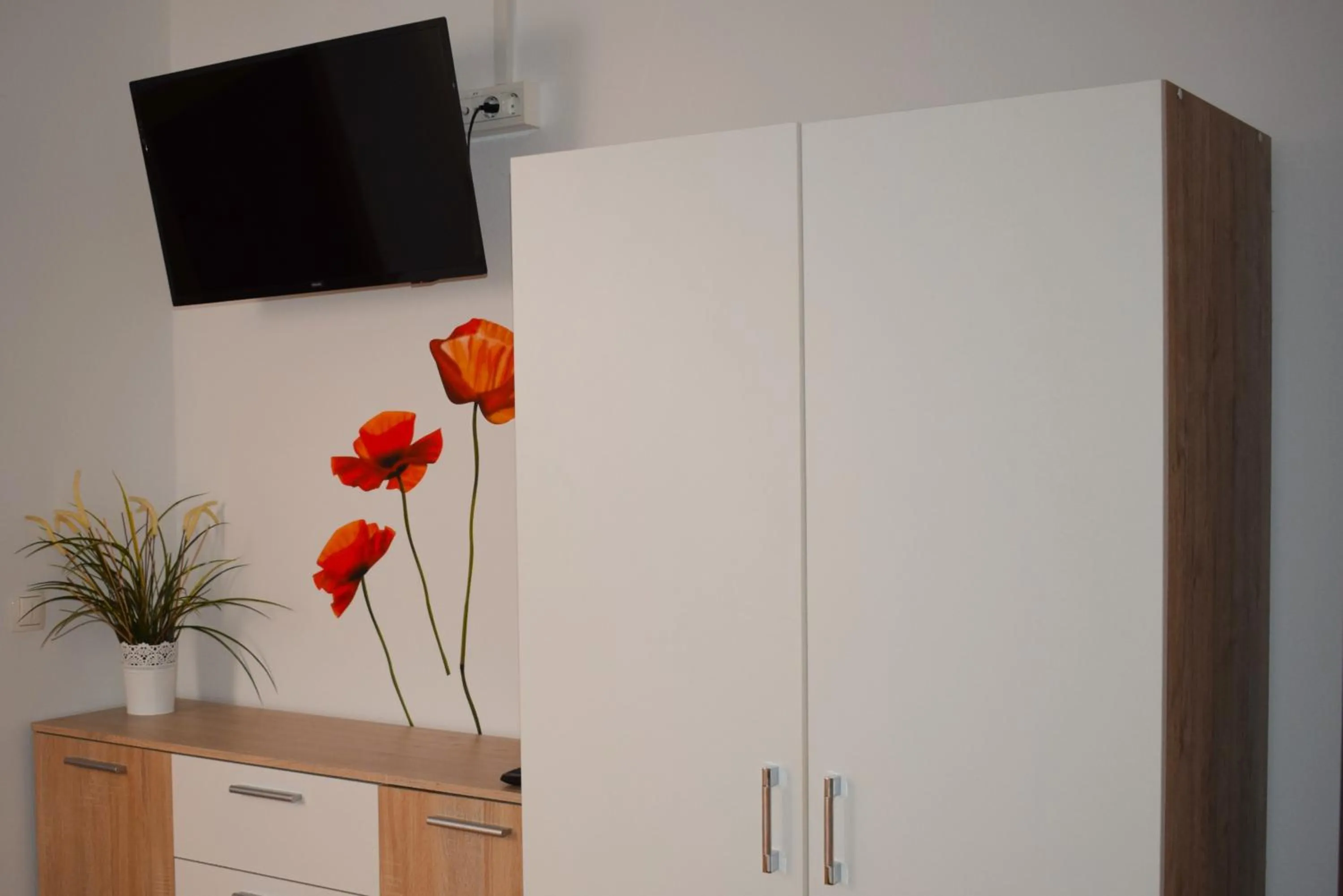 TV and multimedia in Farm Stay Zevnik