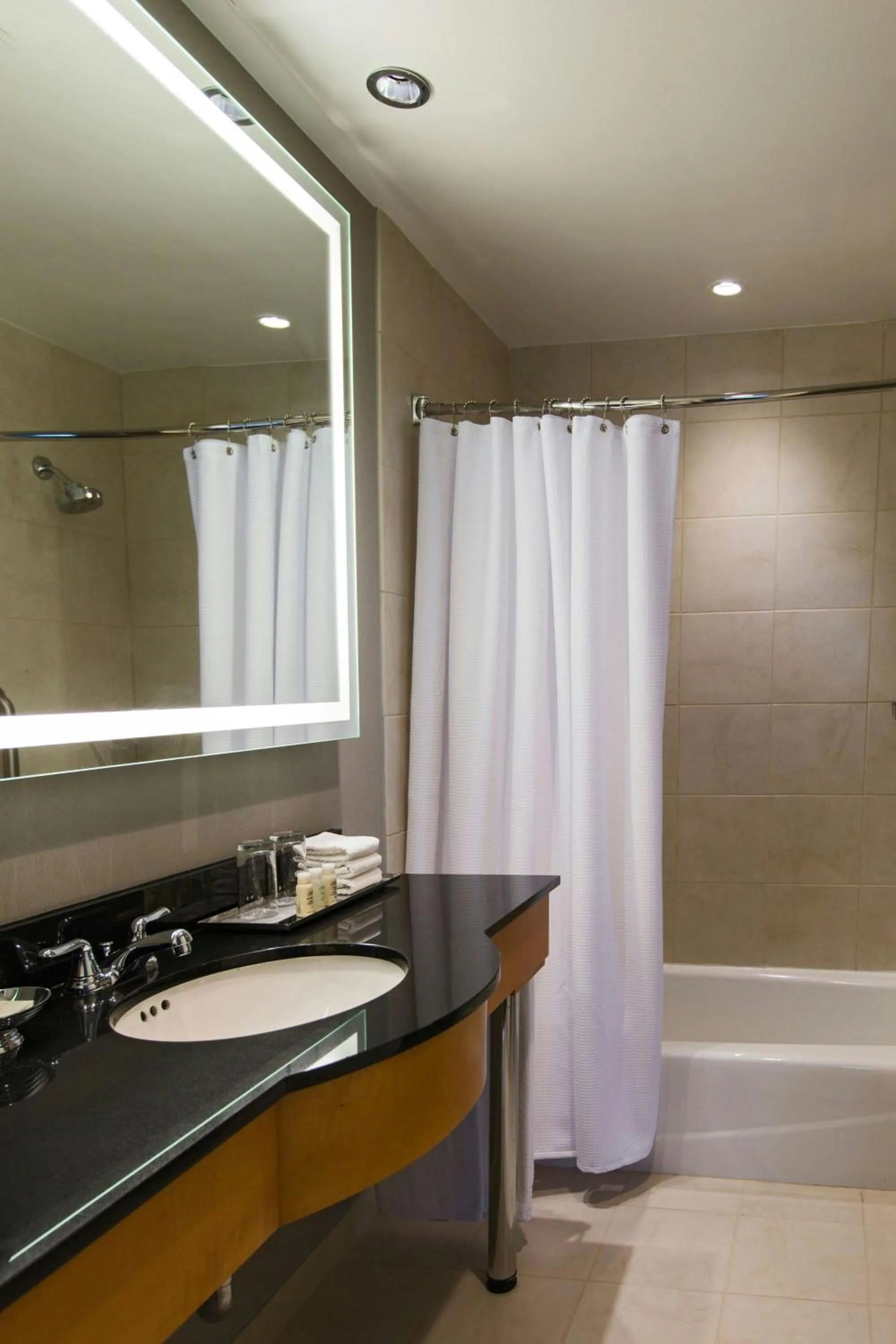 Bathroom in Renaissance Chicago O'Hare Suites Hotel