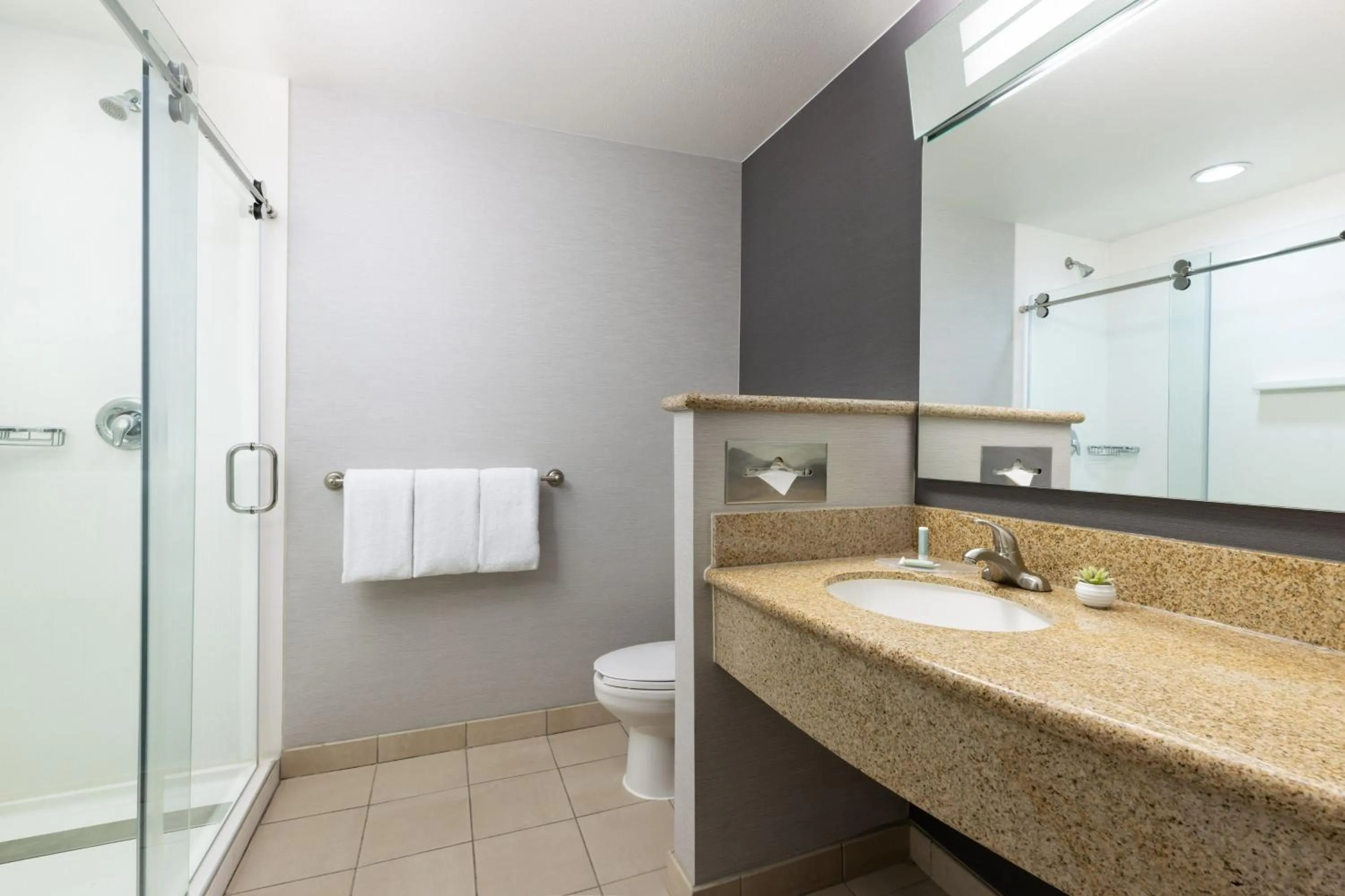 Bathroom in Courtyard By Marriott Las Vegas Stadium Area