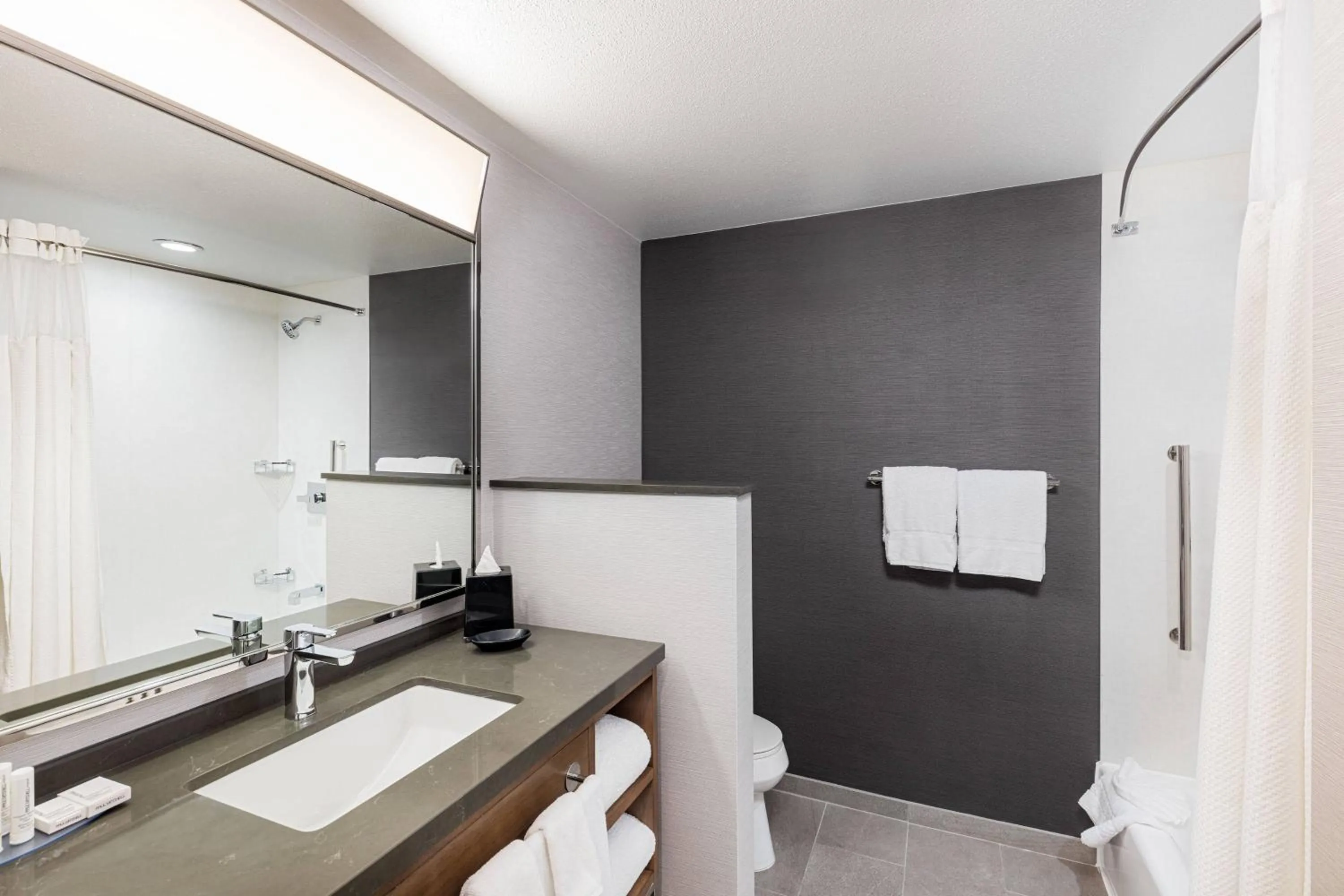 Bathroom in Courtyard by Marriott Anaheim Resort/Convention Center