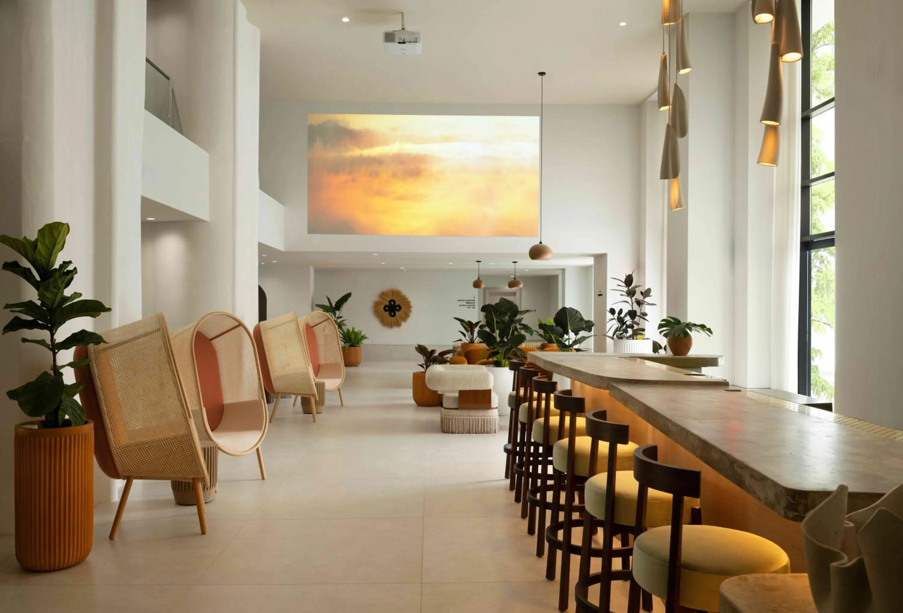 Lobby or reception in Sandbourne Santa Monica, Autograph Collection