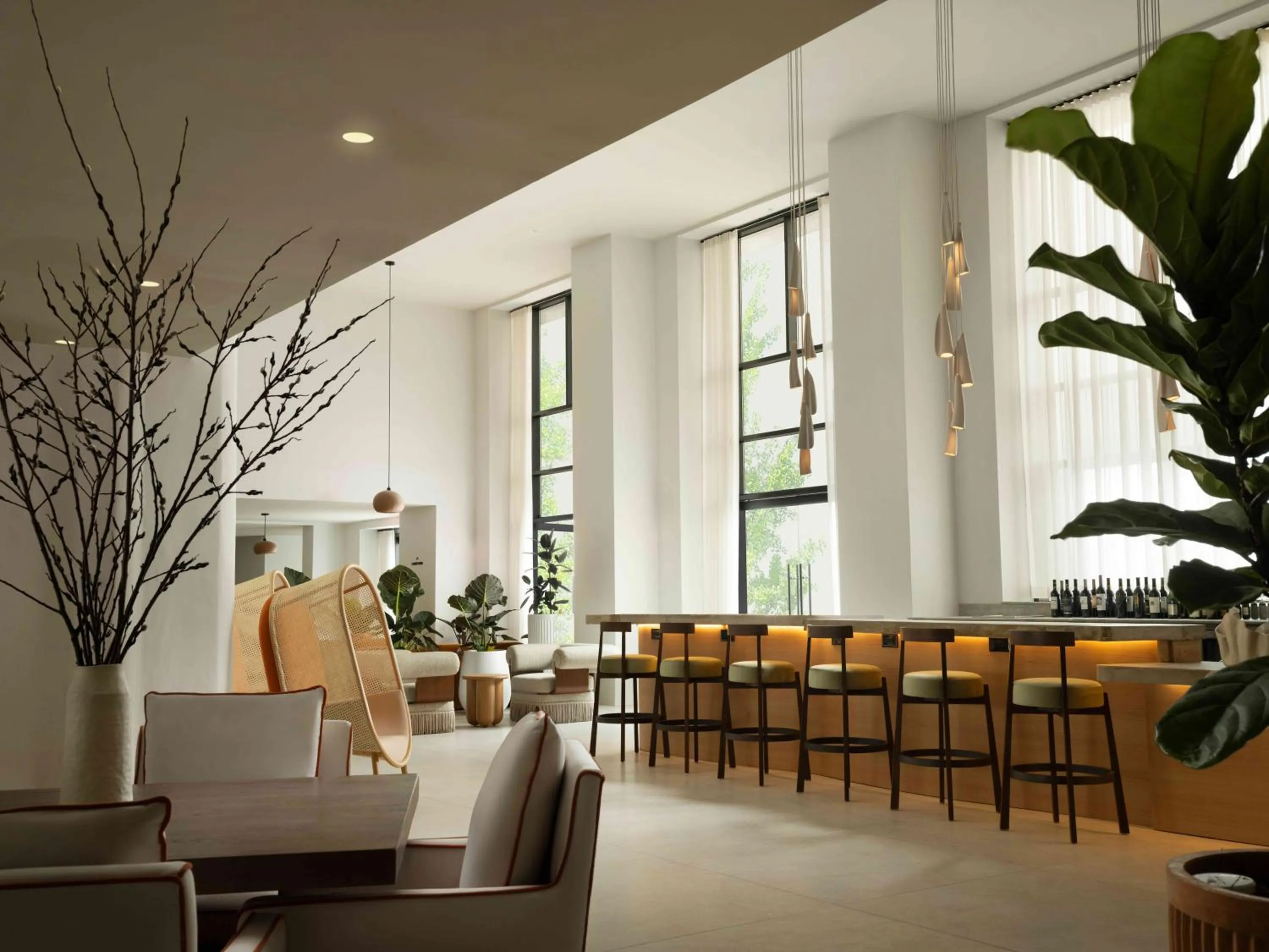 Lounge or bar in Sandbourne Santa Monica, Autograph Collection