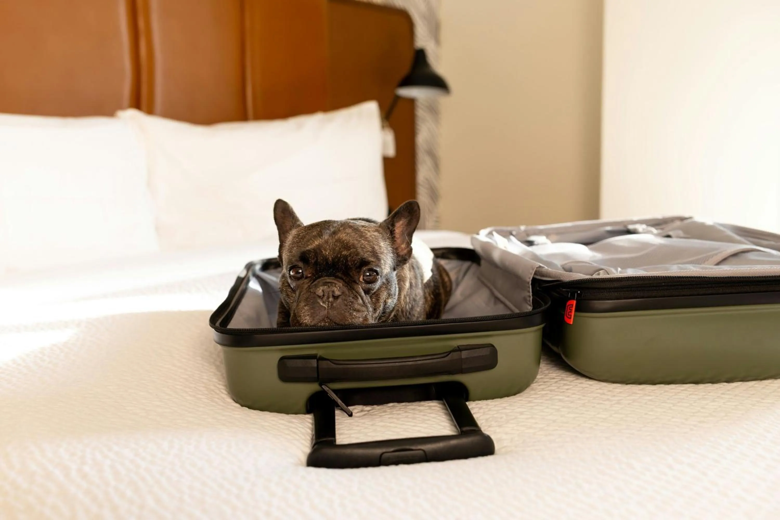 Other in Burton House, Beverly Hills, A Tribute Portfolio Hotel