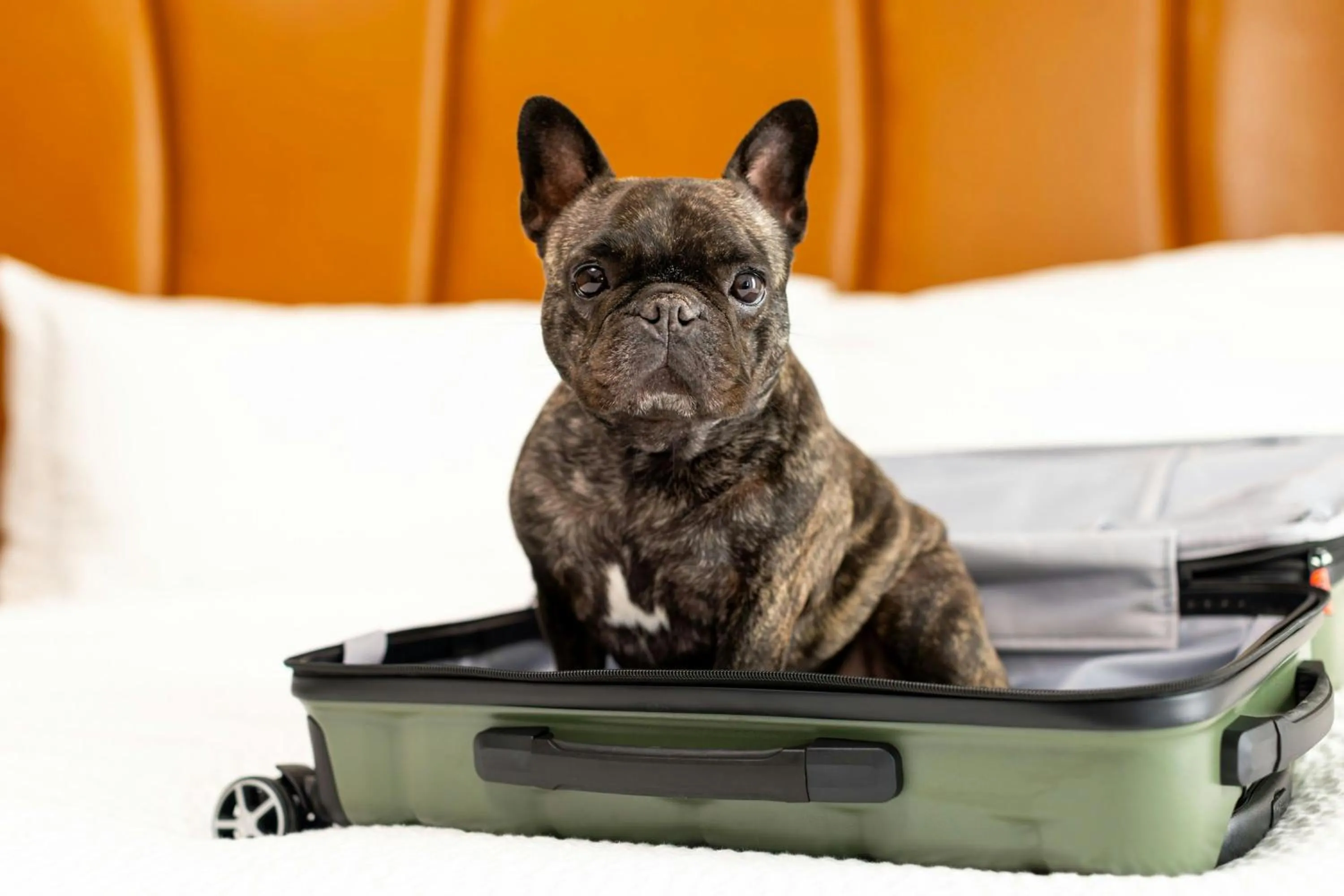 Other in Burton House, Beverly Hills, A Tribute Portfolio Hotel