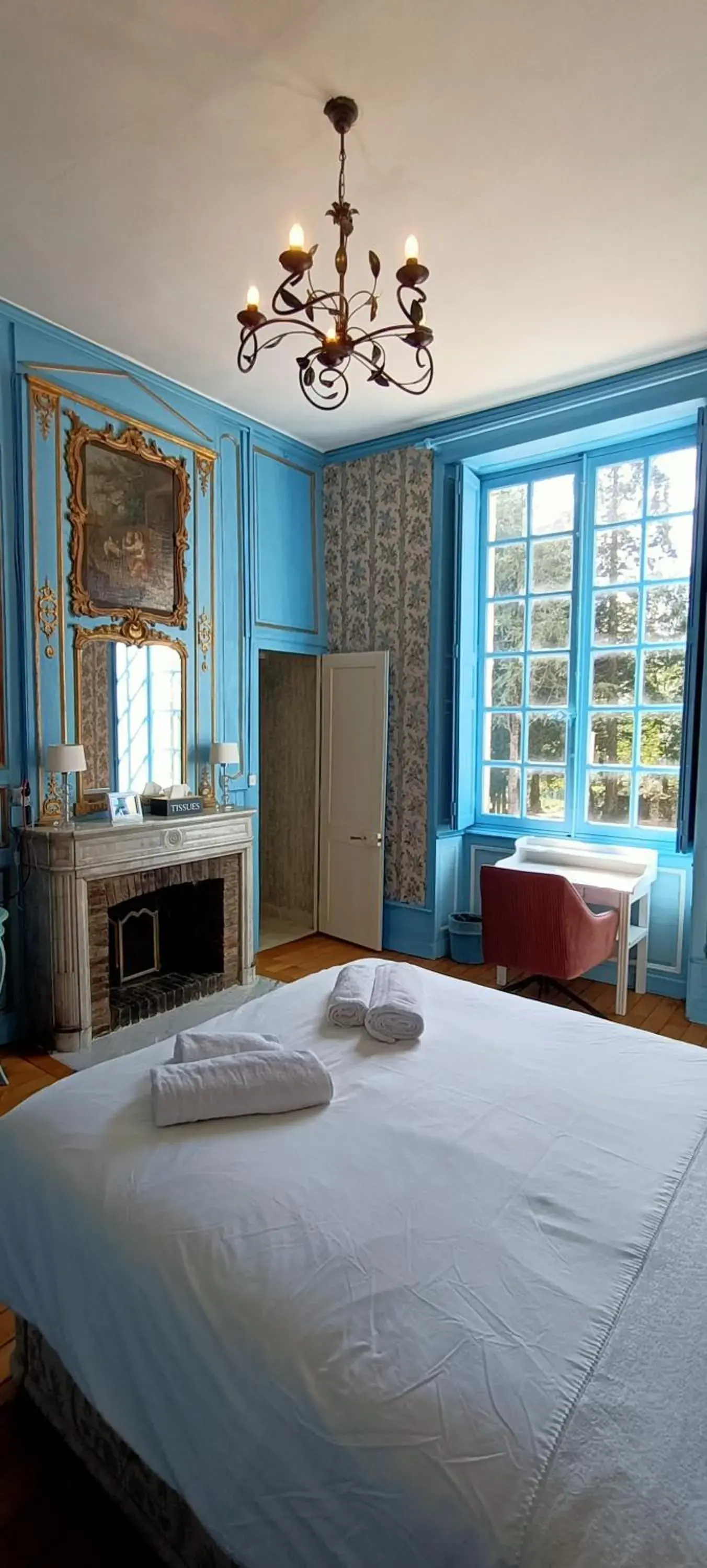 Standard Double Room in Chateau de la Grand'Maison Standard Double Room in Chateau de la Grand'Maison