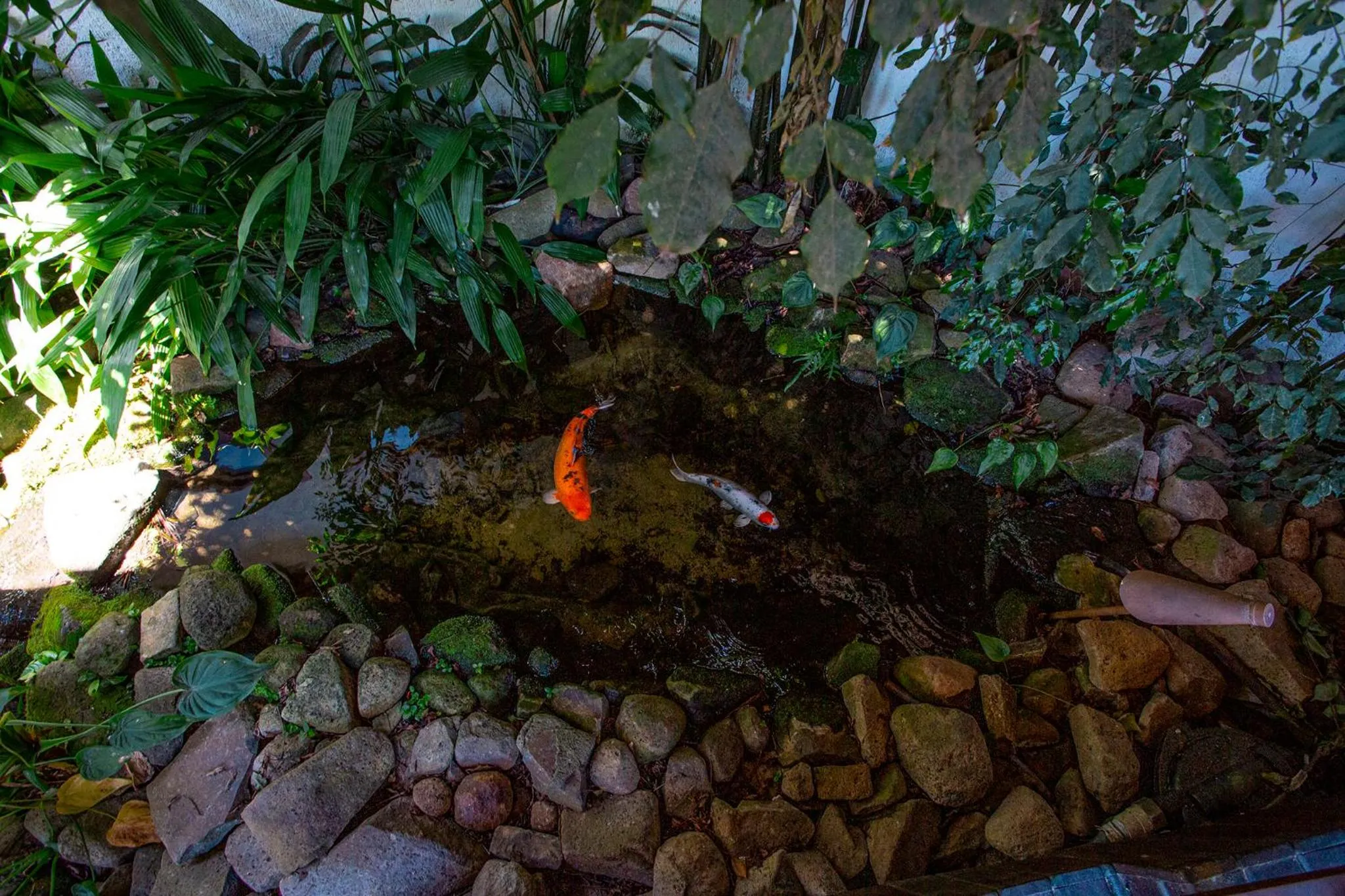 Garden view in Hotel Praia do Portinho