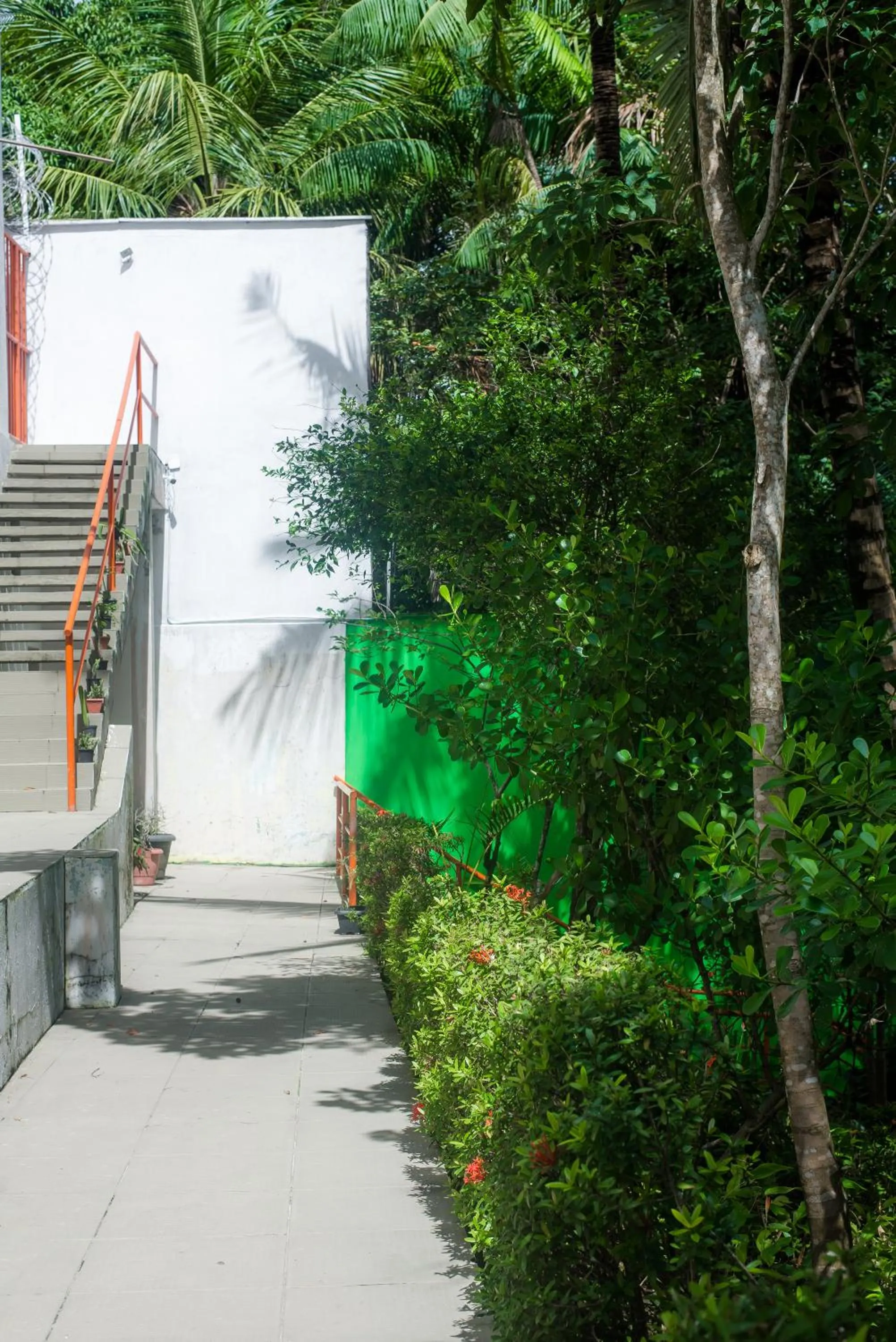 Natural landscape in Pousada Clube Vista do Rio