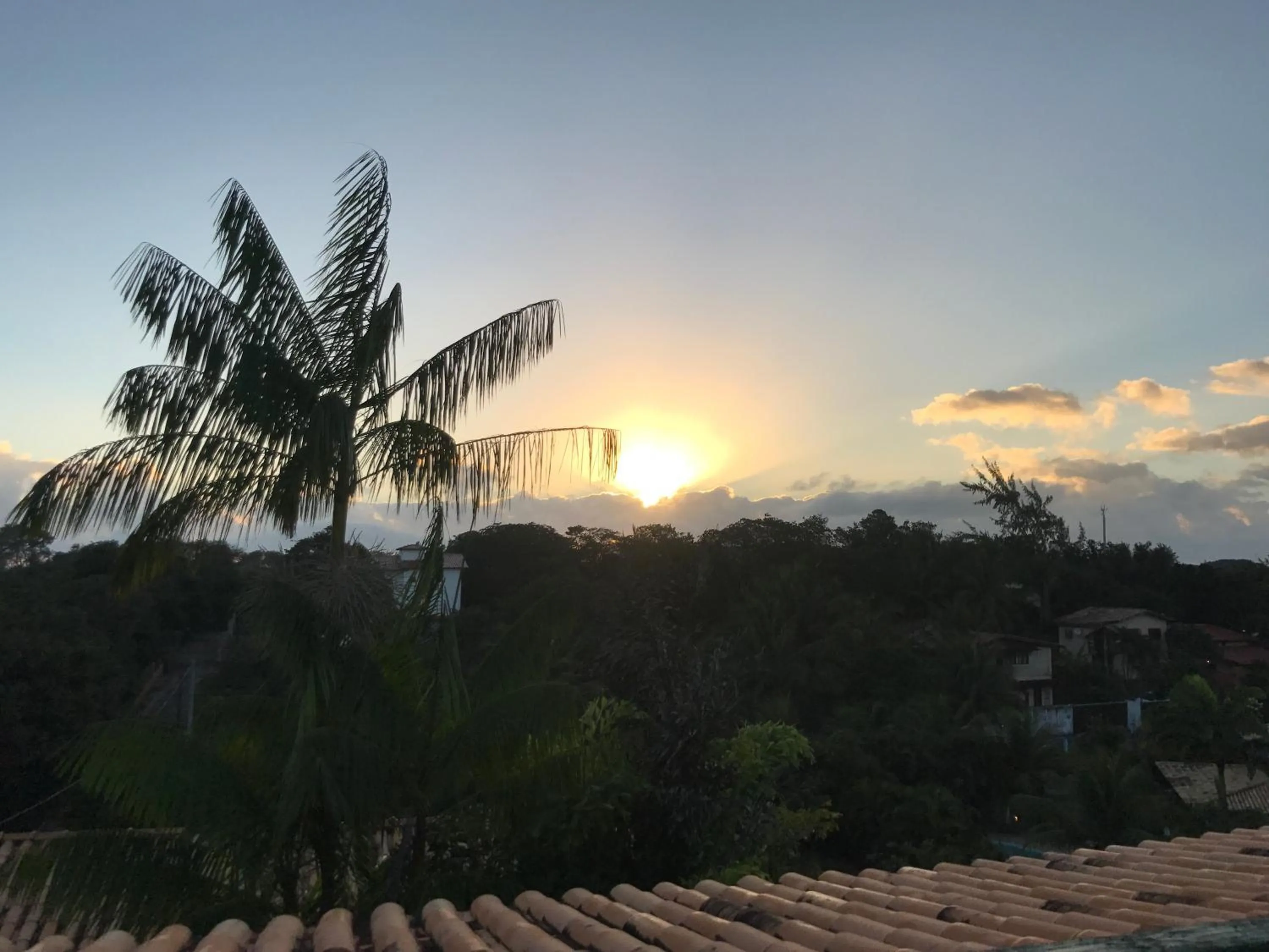 Garden view in Pousada Mãe Natureza