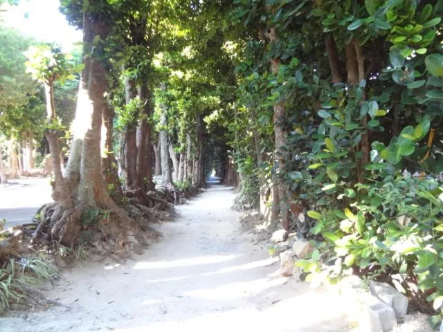 Neighbourhood in Bise House