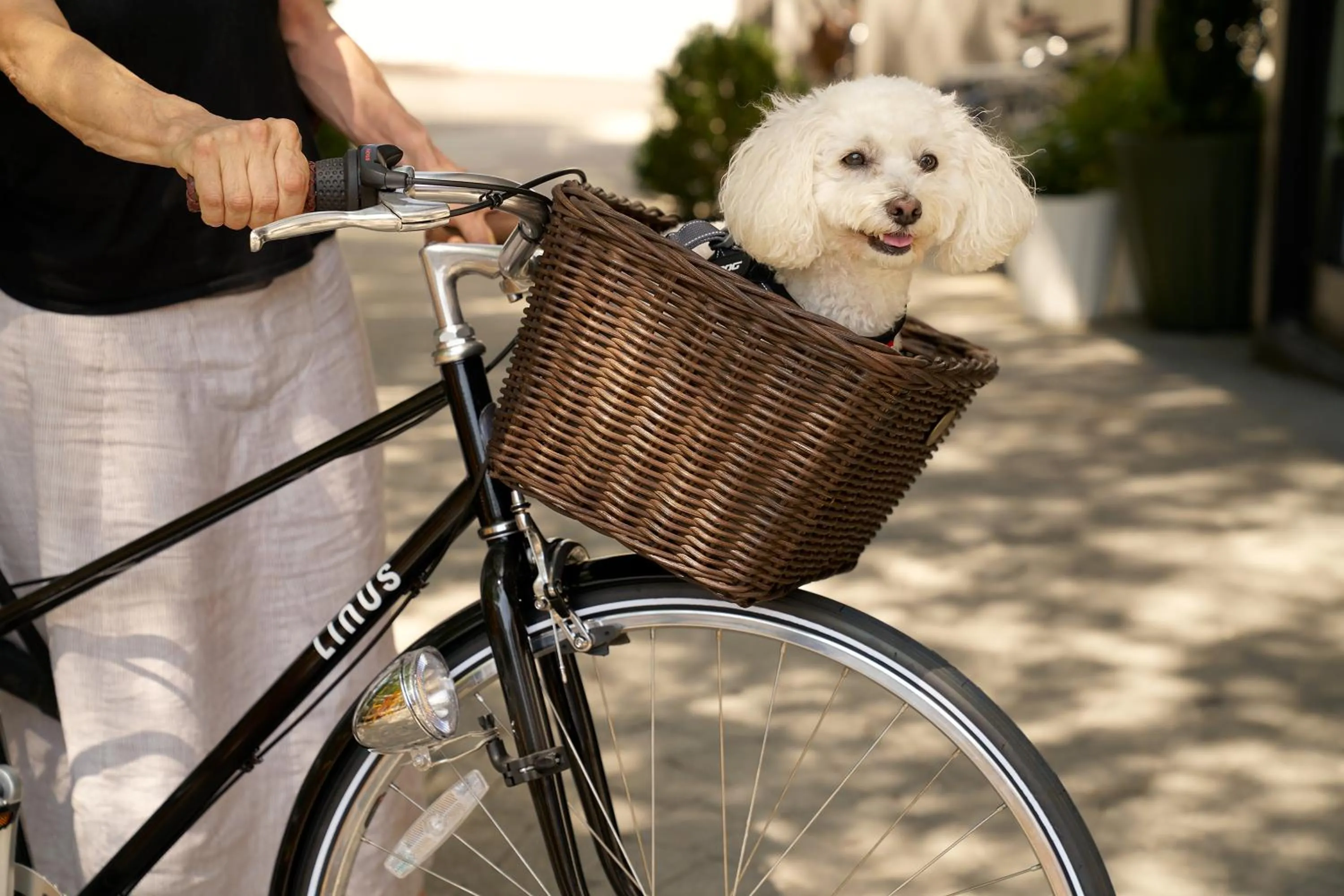 People in Generator Hotel Washington DC