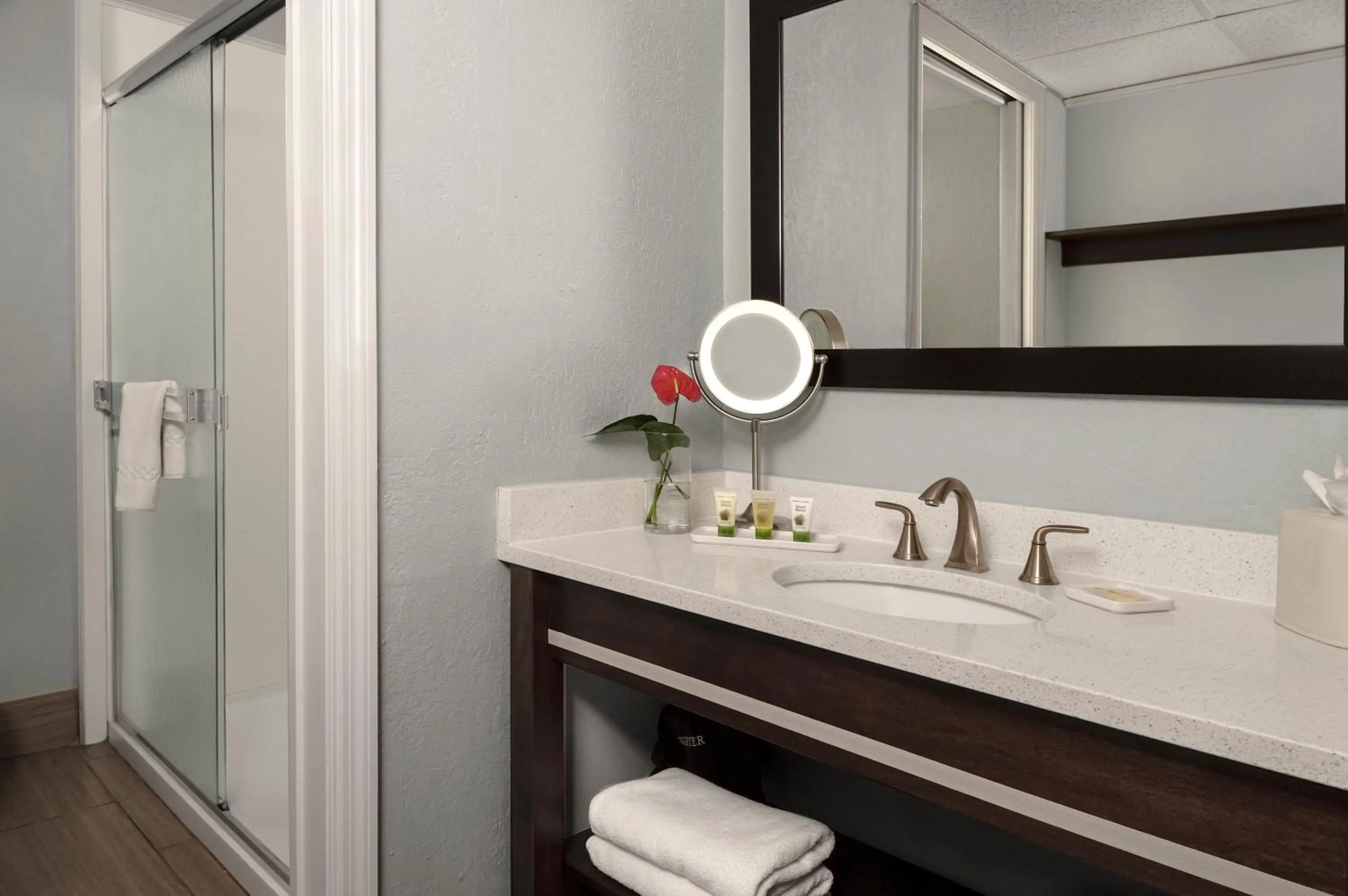 Bathroom in Dolphin Beach Resort