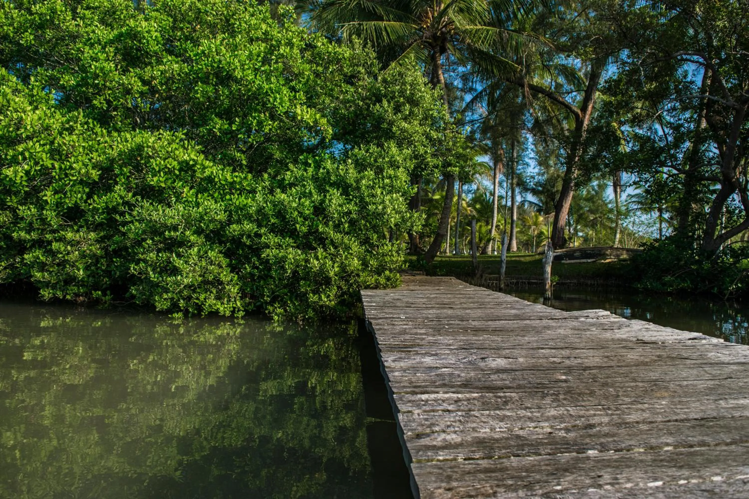 Natural landscape in Isla Tajín