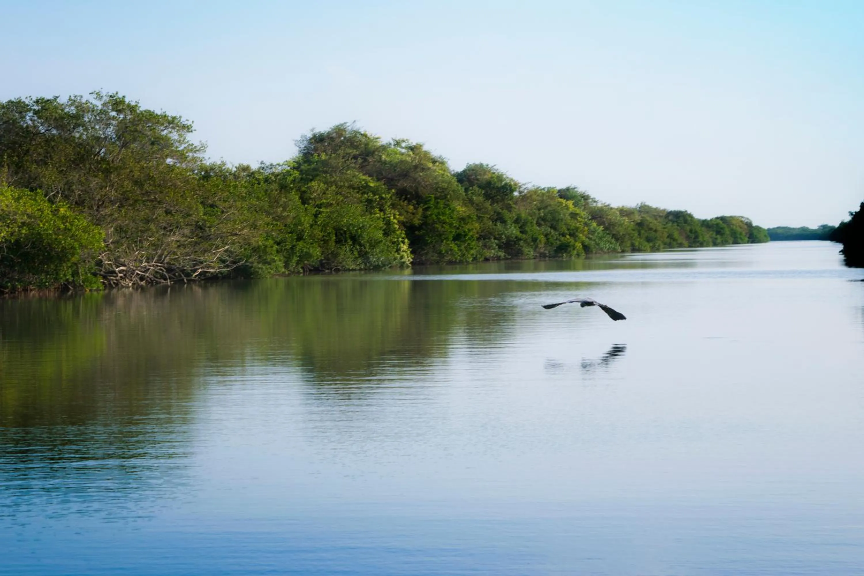 Natural landscape in Isla Tajín
