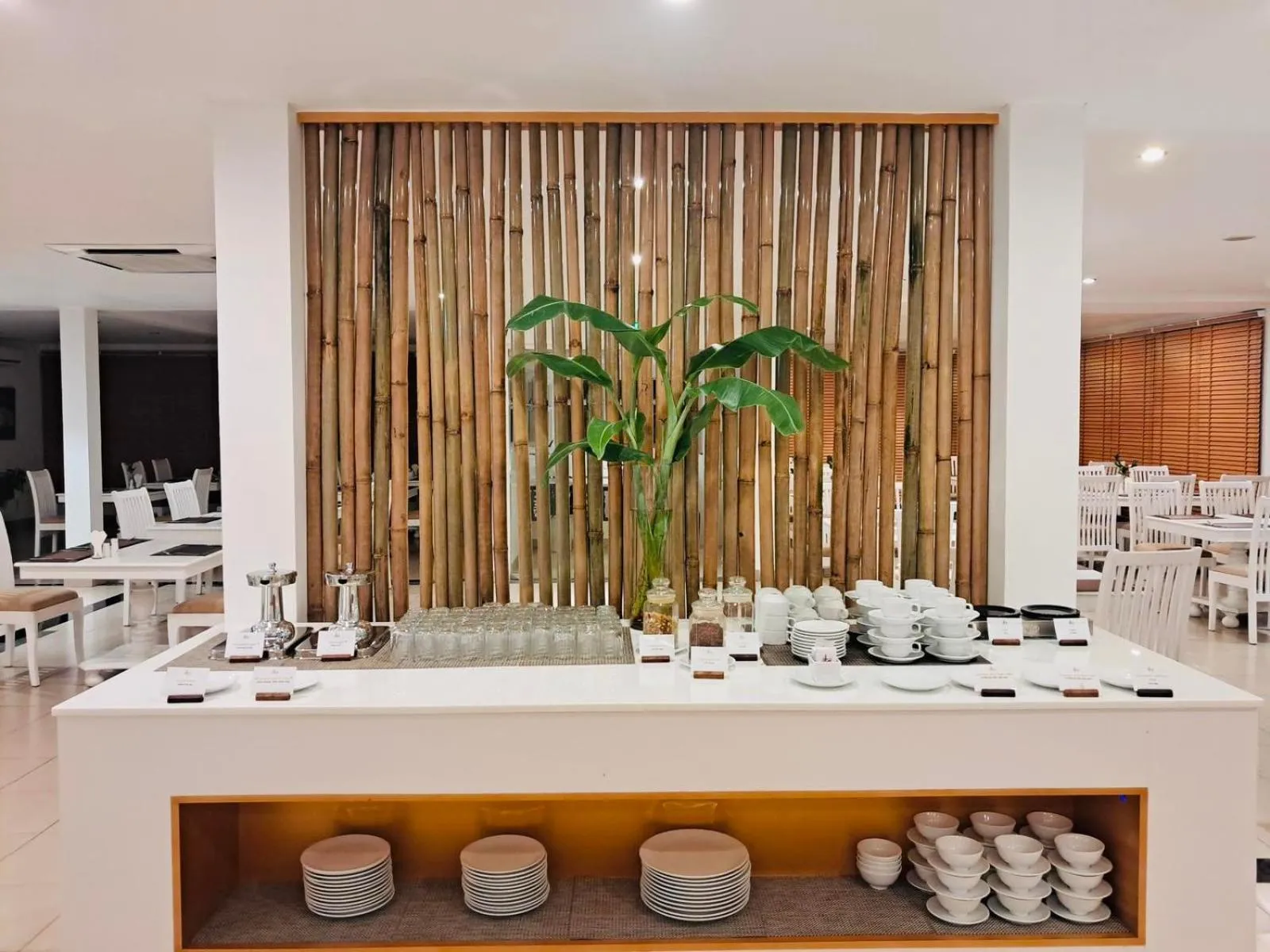 Restaurant/places to eat in Alba Hotel