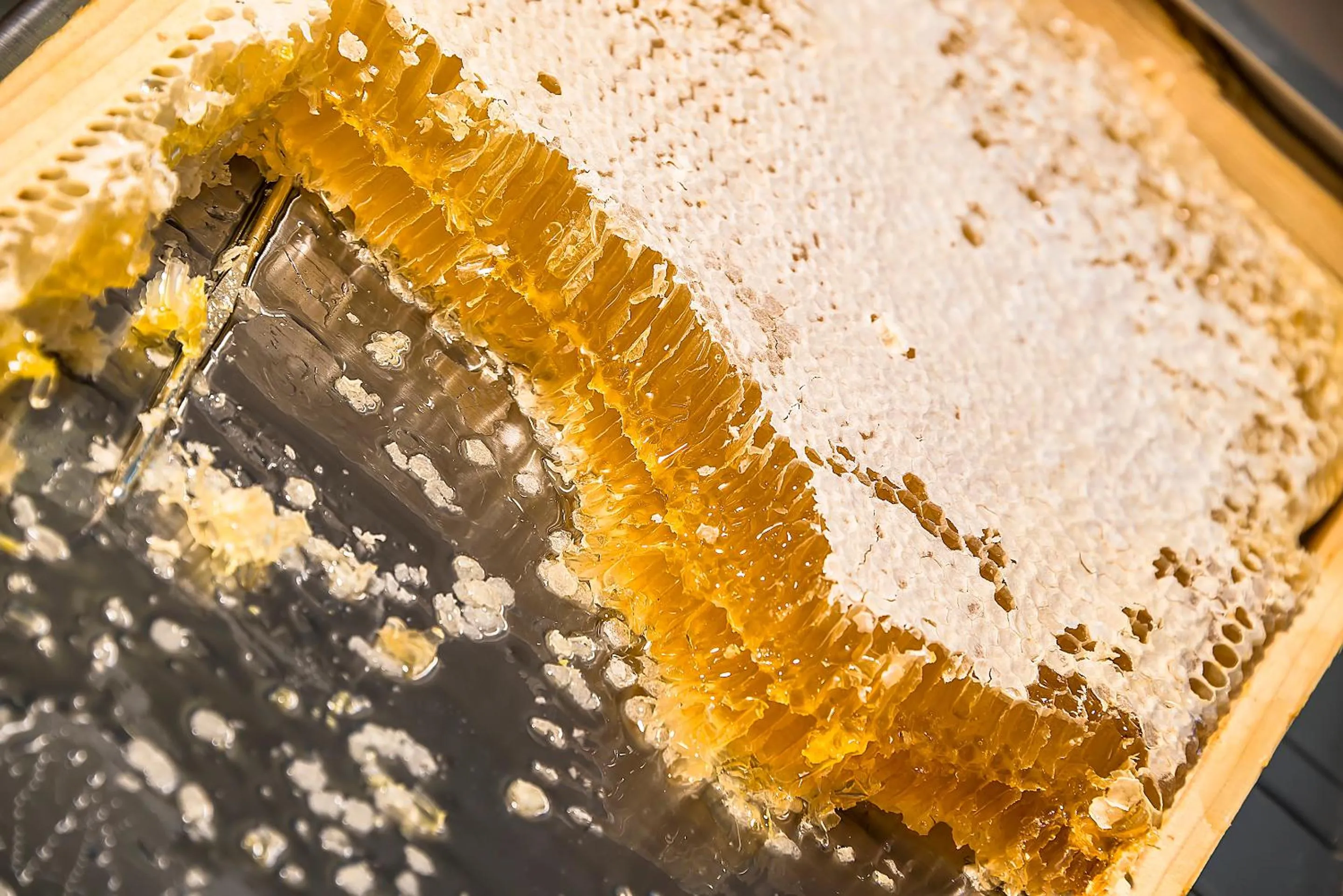 Food in Grotthuss Boutique Hotel Vilnius