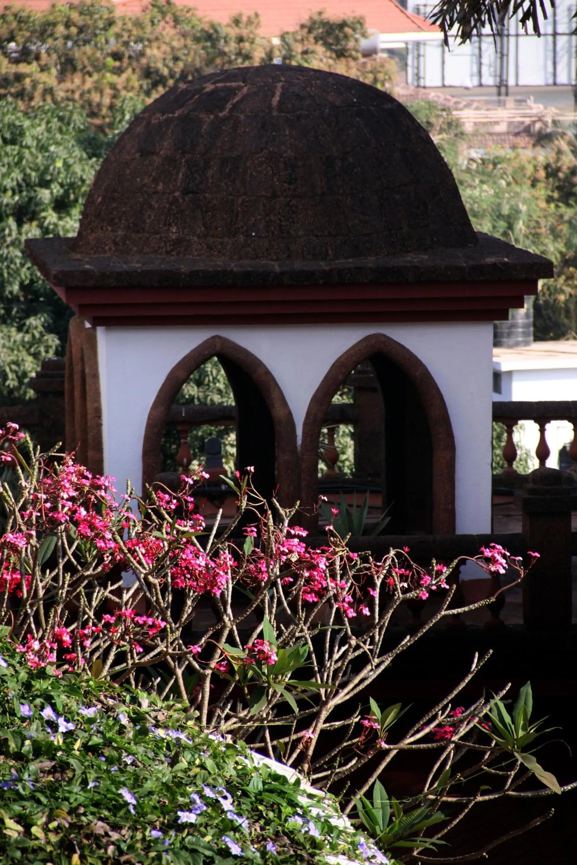 Garden in Pride Sun Village Resort & Spa