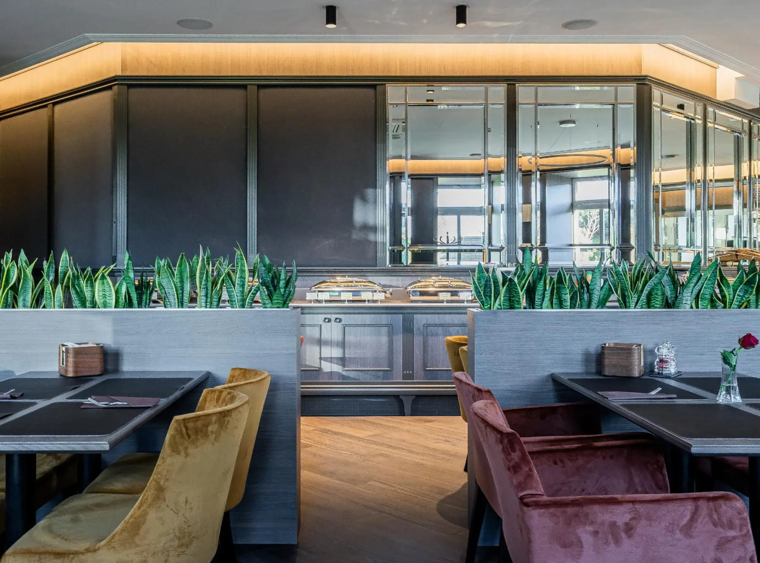 Restaurant/places to eat in Congress Hotel Restaurant/places to eat in Congress Hotel