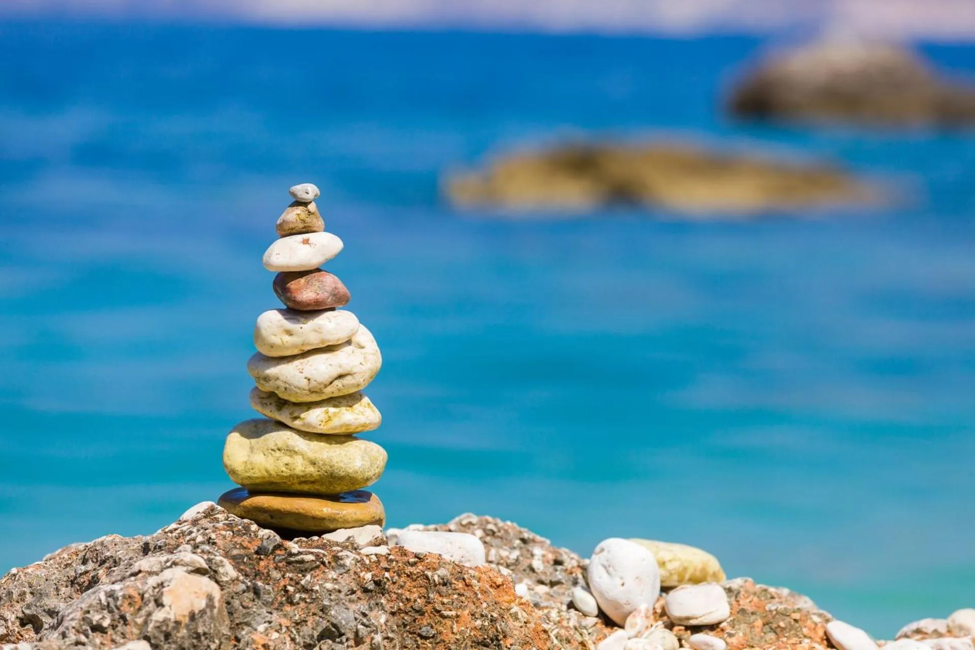 Natural landscape in Atrium Hotel Krüger