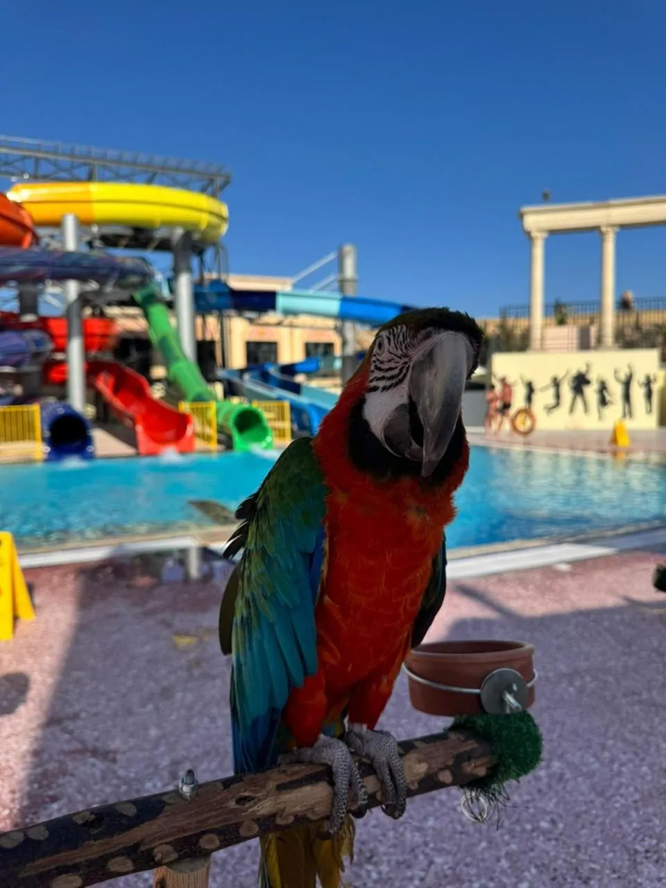 Il Mercato Hotel & Spa