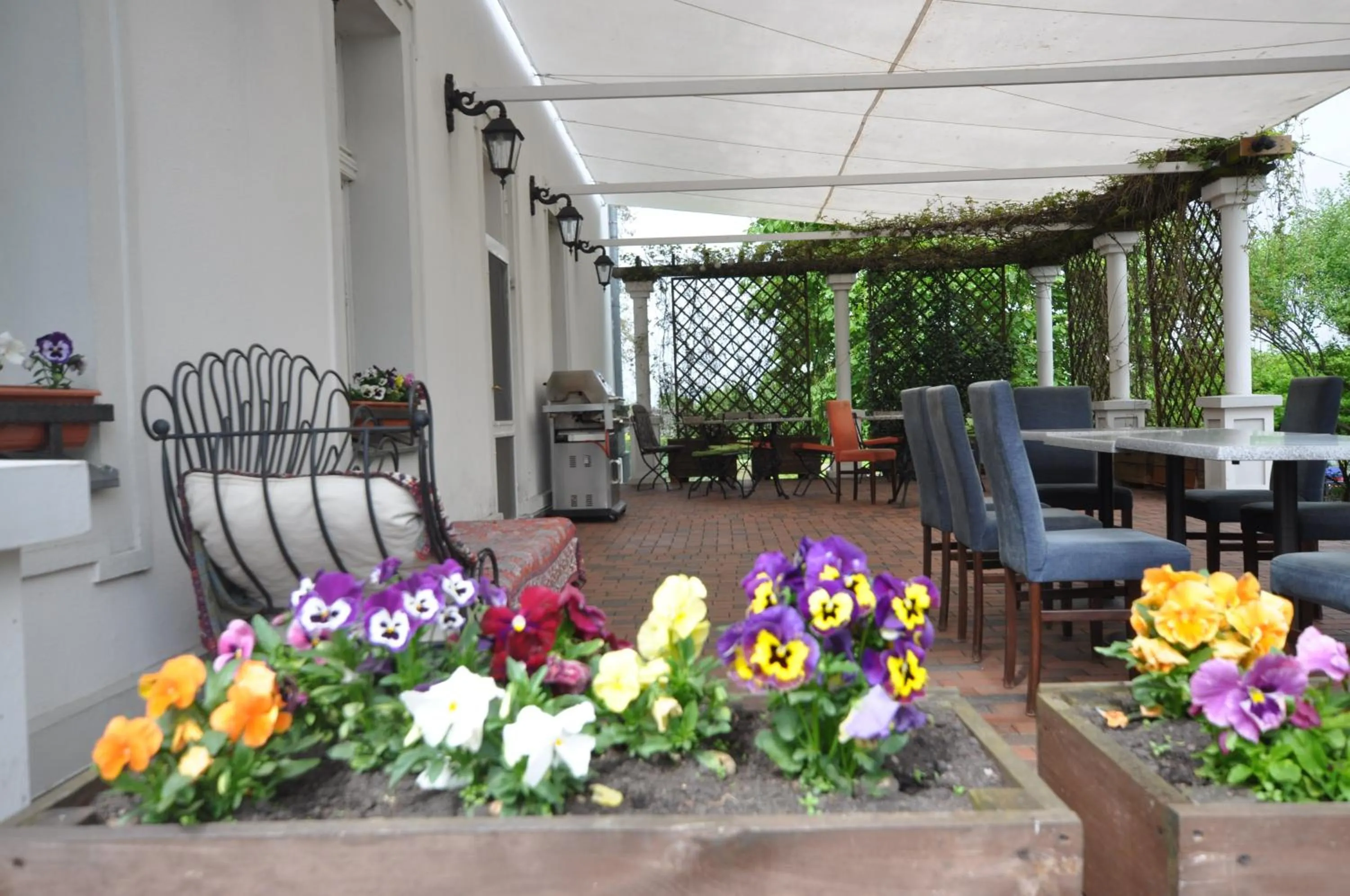 Restaurant/places to eat in Restauracja - Hotel Pałacowa