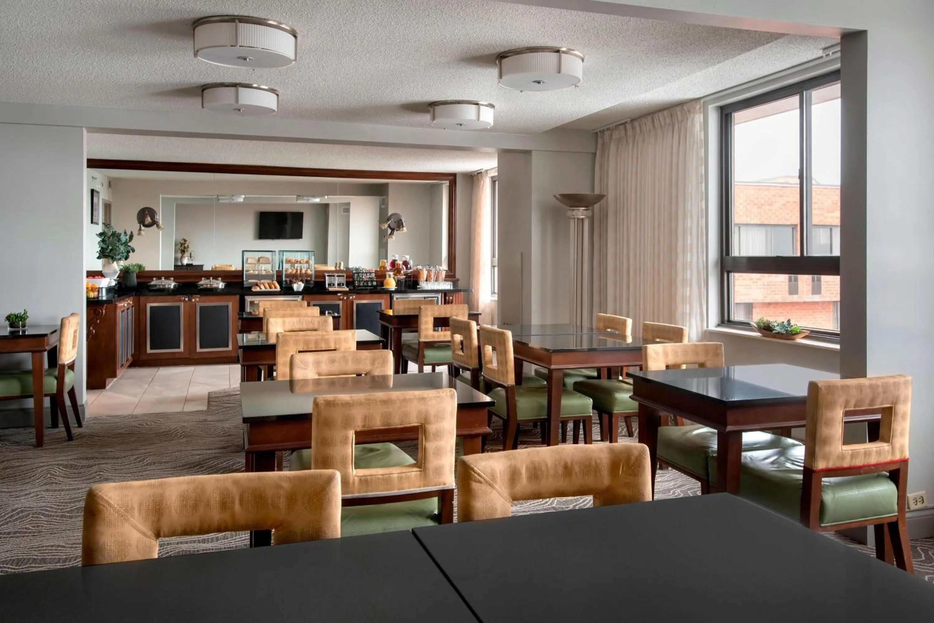 Lounge or bar in Marriott Albany
