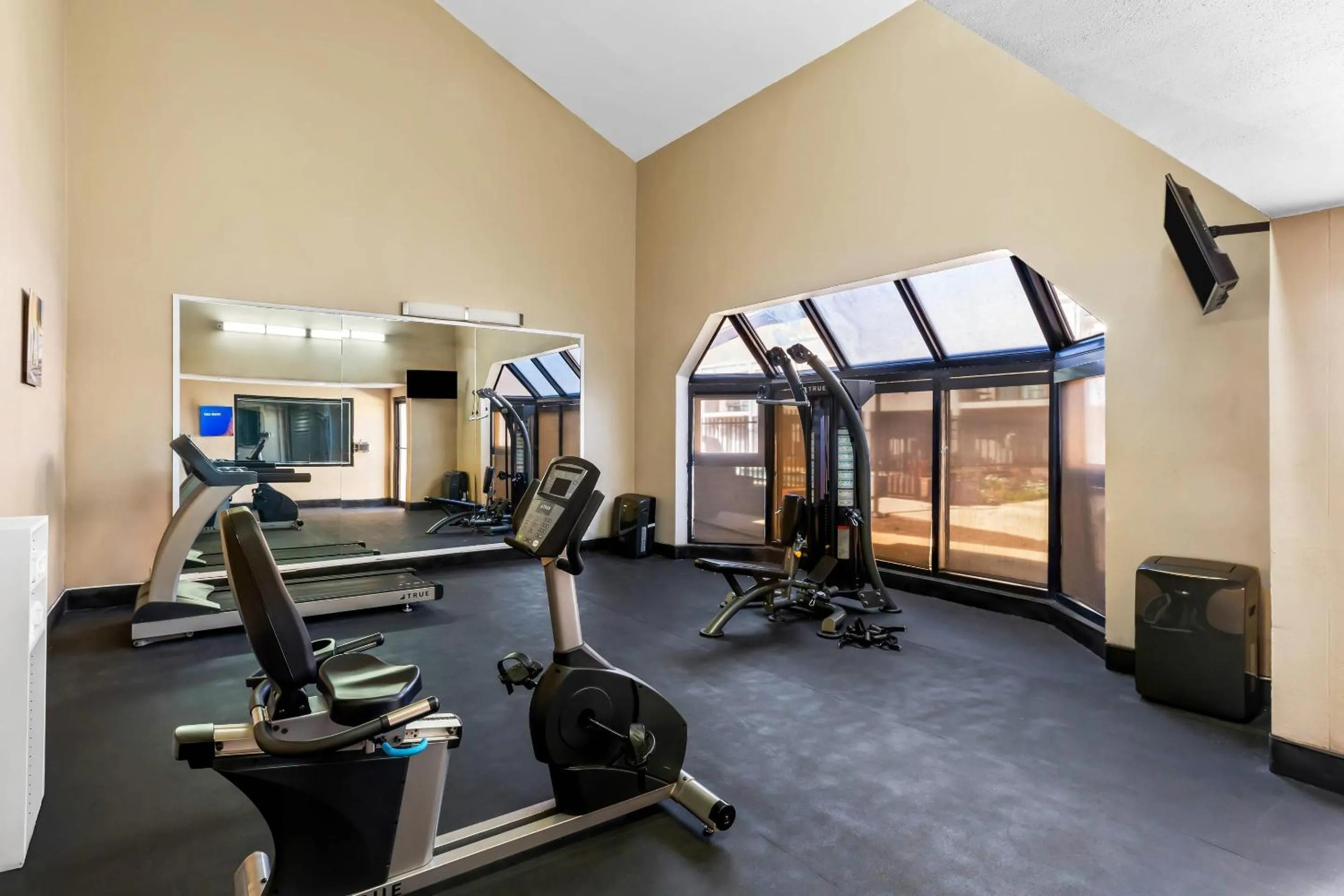 Fitness centre/facilities in Comfort Inn Roswell-Dunwoody