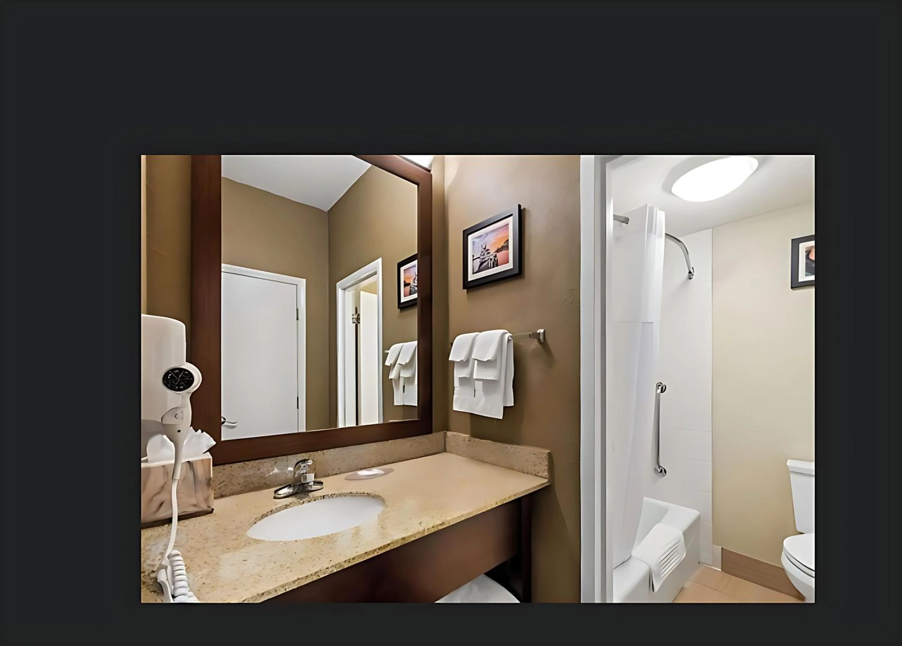 Toilet in Comfort Inn Roswell-Dunwoody