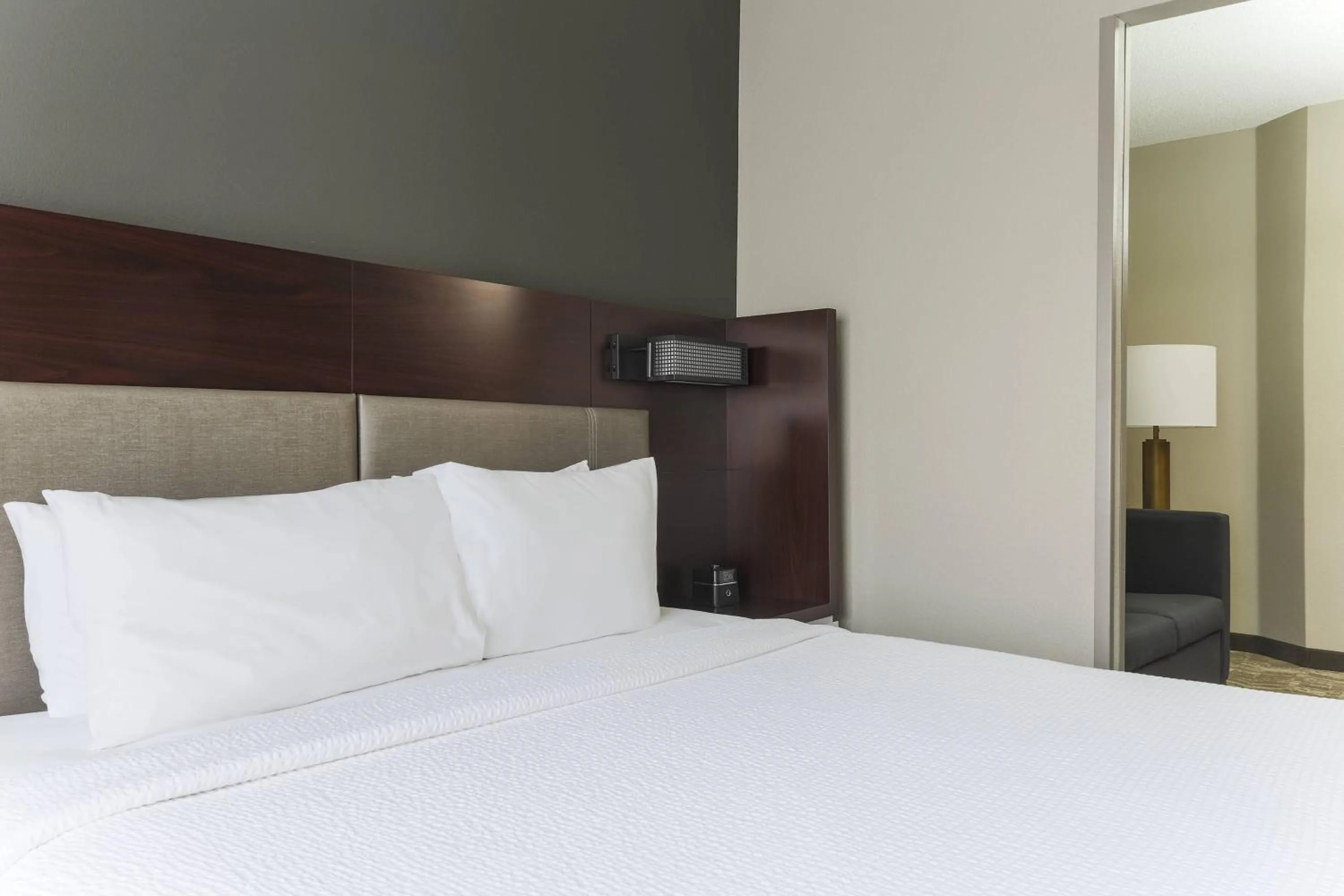 Photo of the whole room, Bed in SpringHill Suites by Marriott Austin Parmer/Tech Ridge