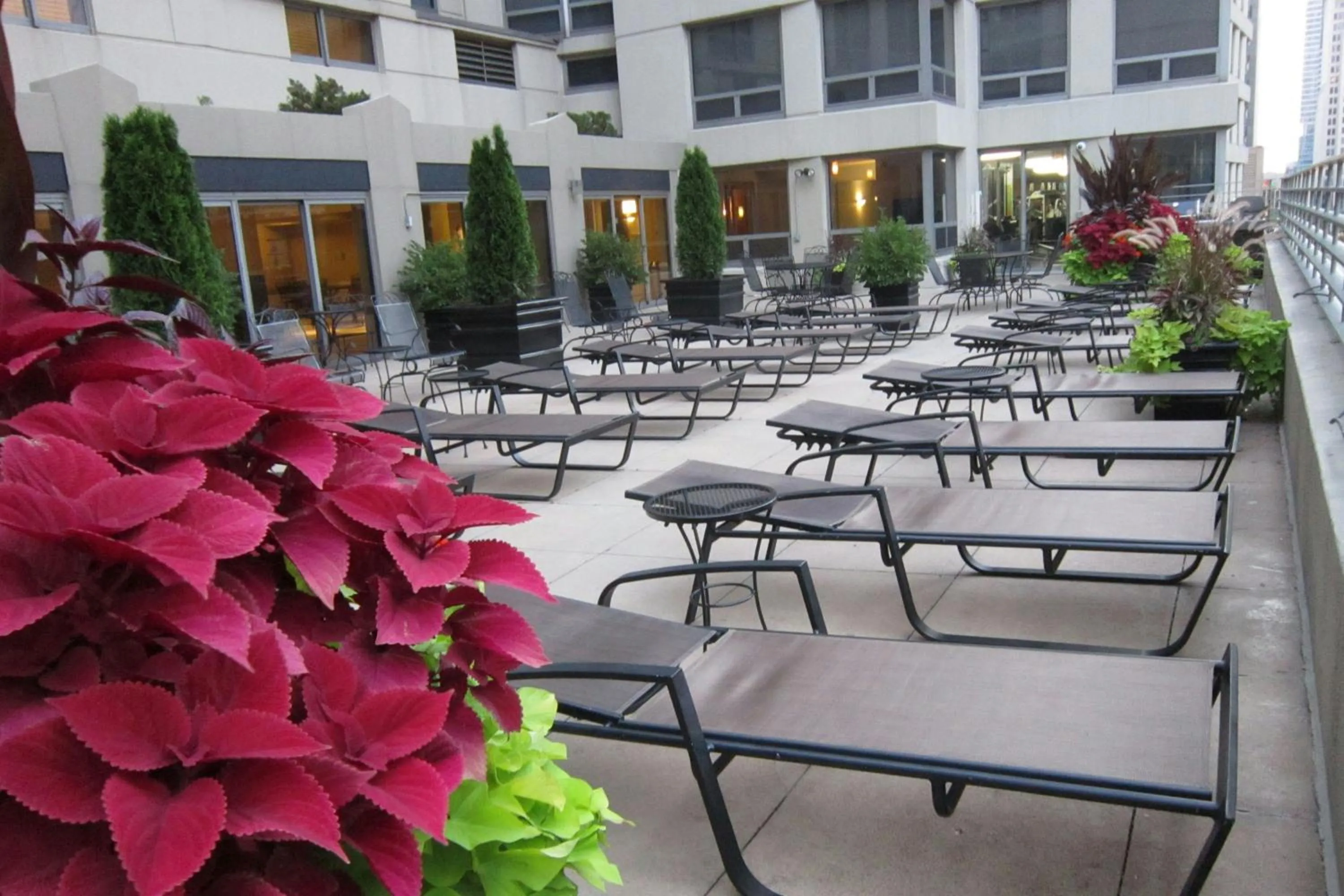 Area and facilities in Courtyard by Marriott Chicago Downtown/River North