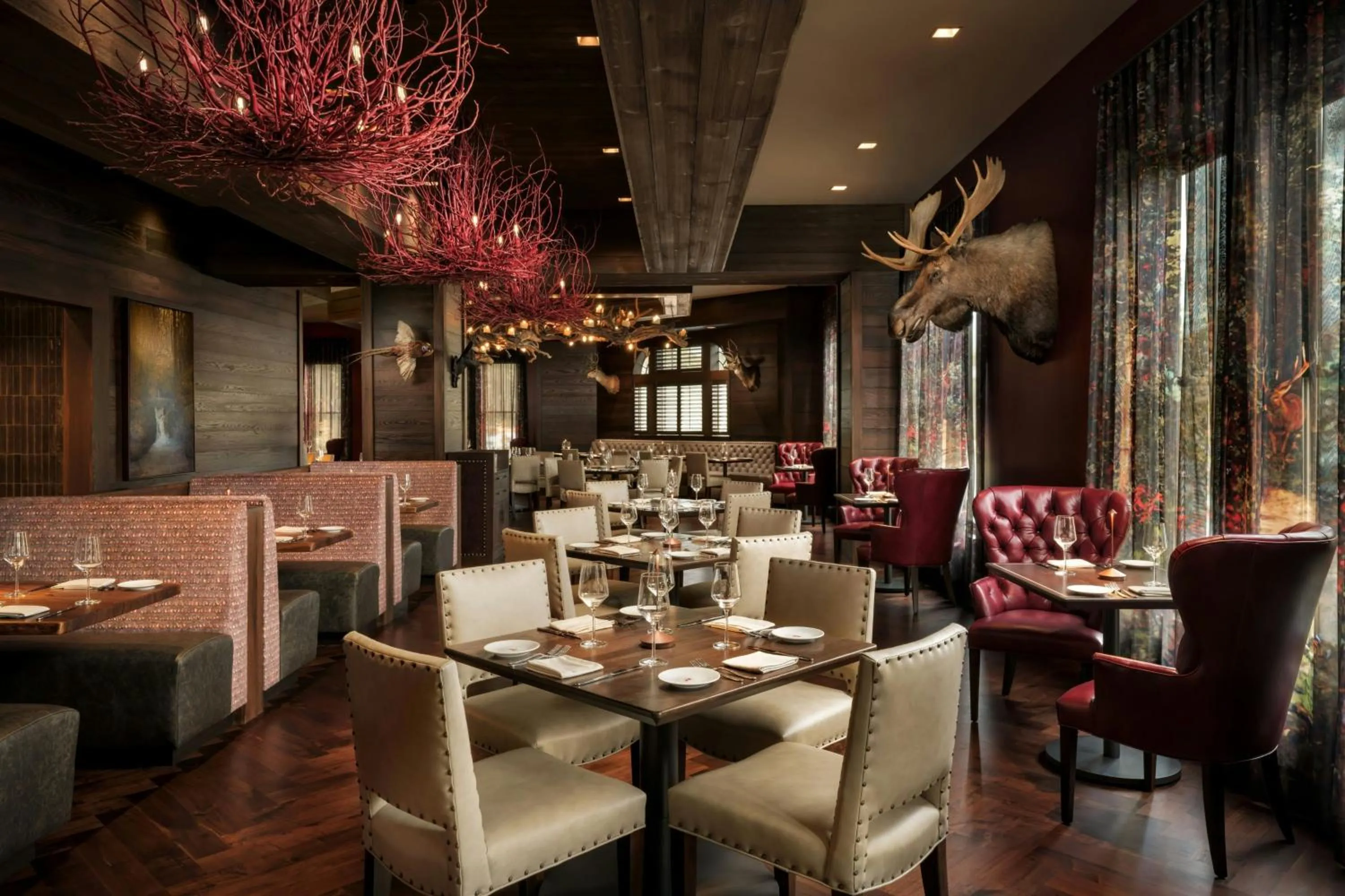 Restaurant/places to eat in Grand Bohemian Lodge Asheville, Autograph Collection