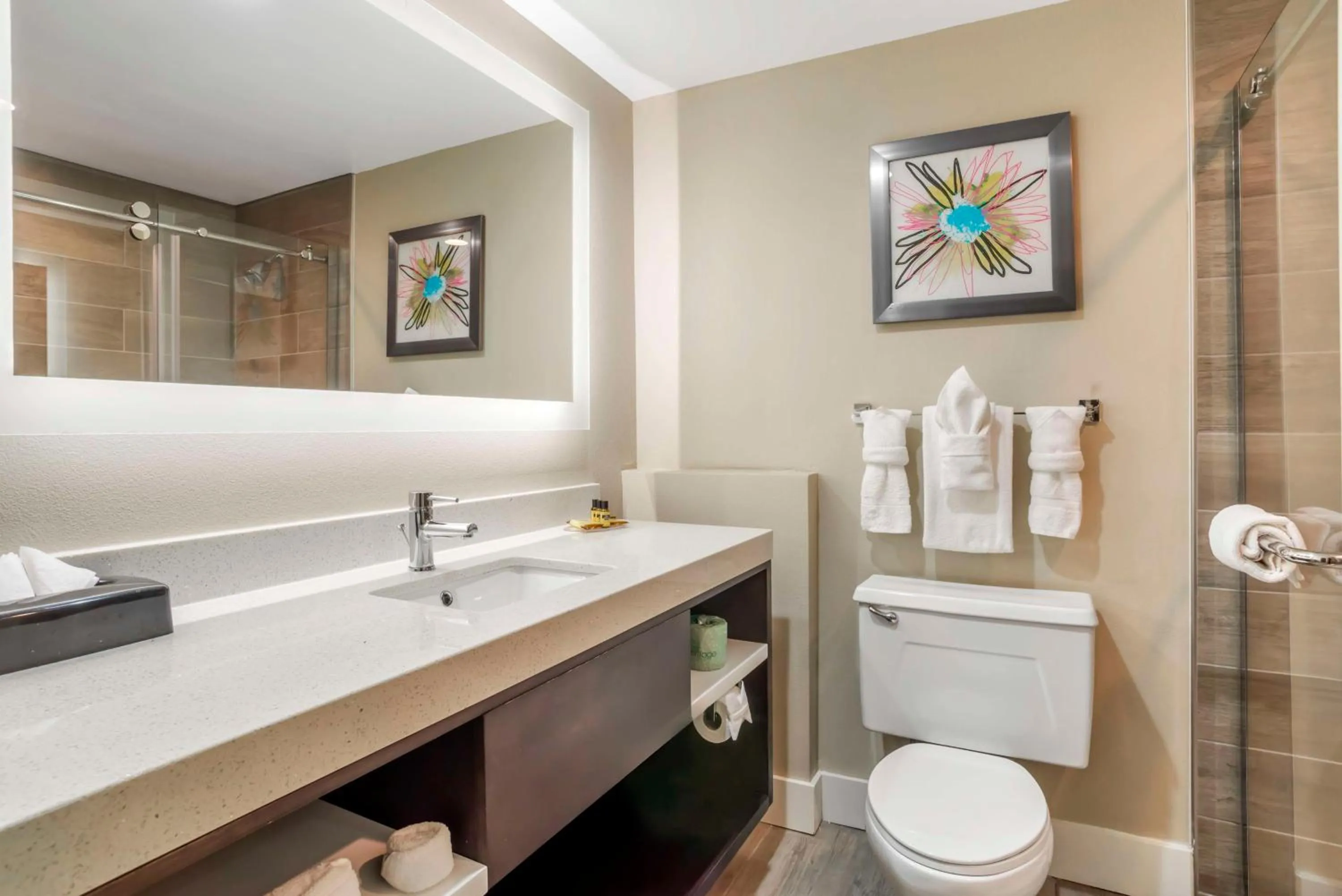 Bathroom in Best Western Plus Greenville I-385 Inn & Suites