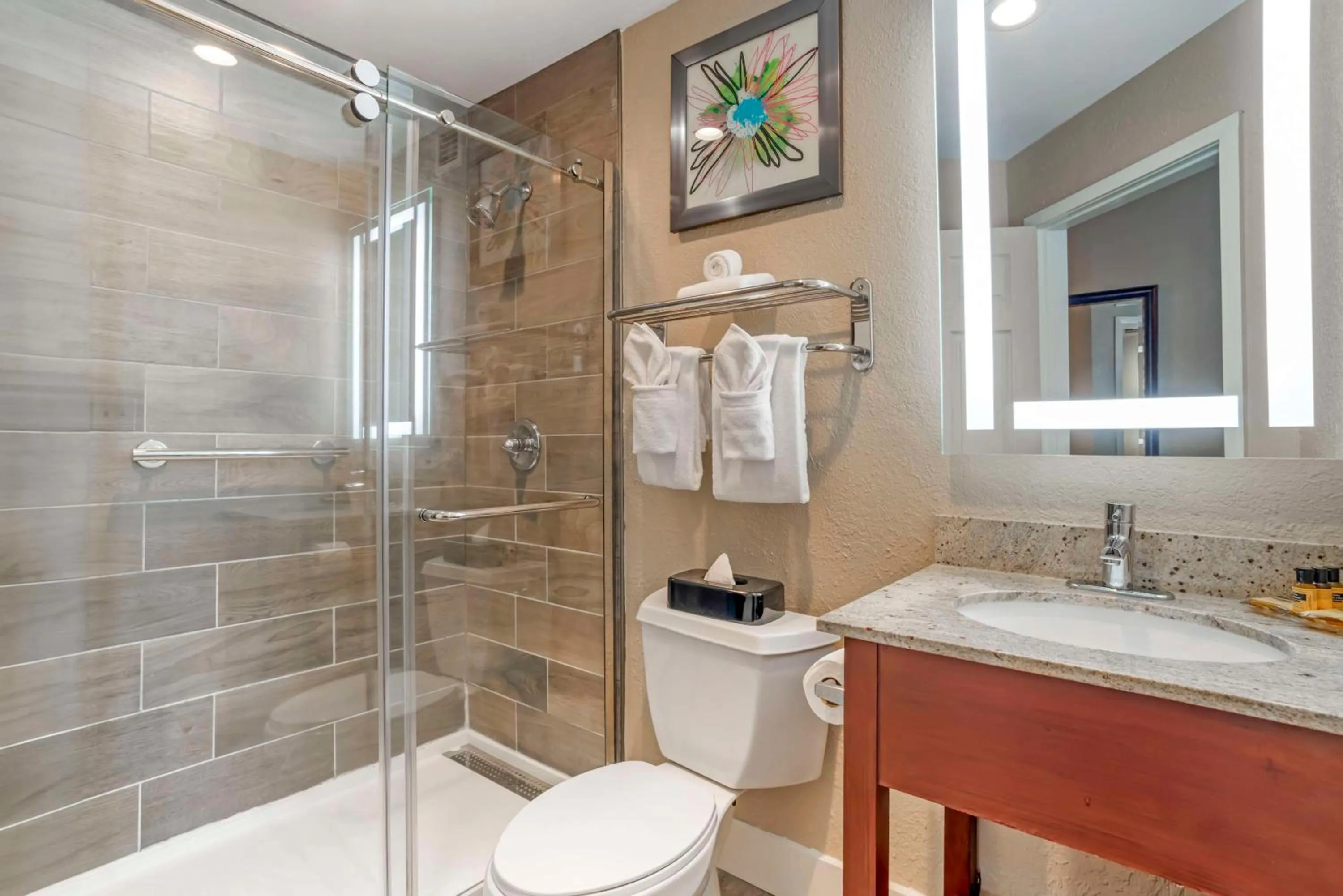 Bathroom in Best Western Plus Greenville I-385 Inn & Suites