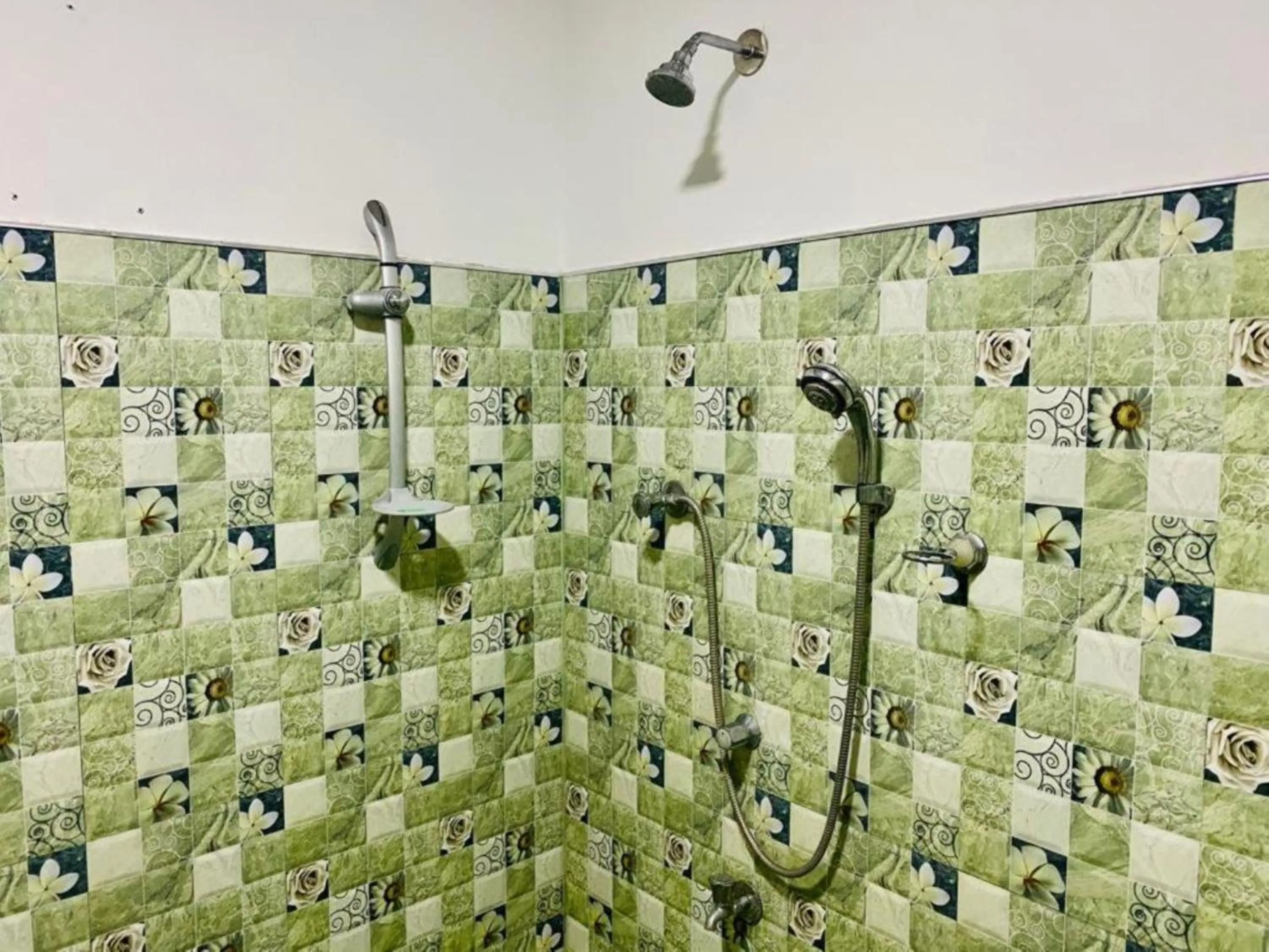 Shower in Rock Lake Home Stay