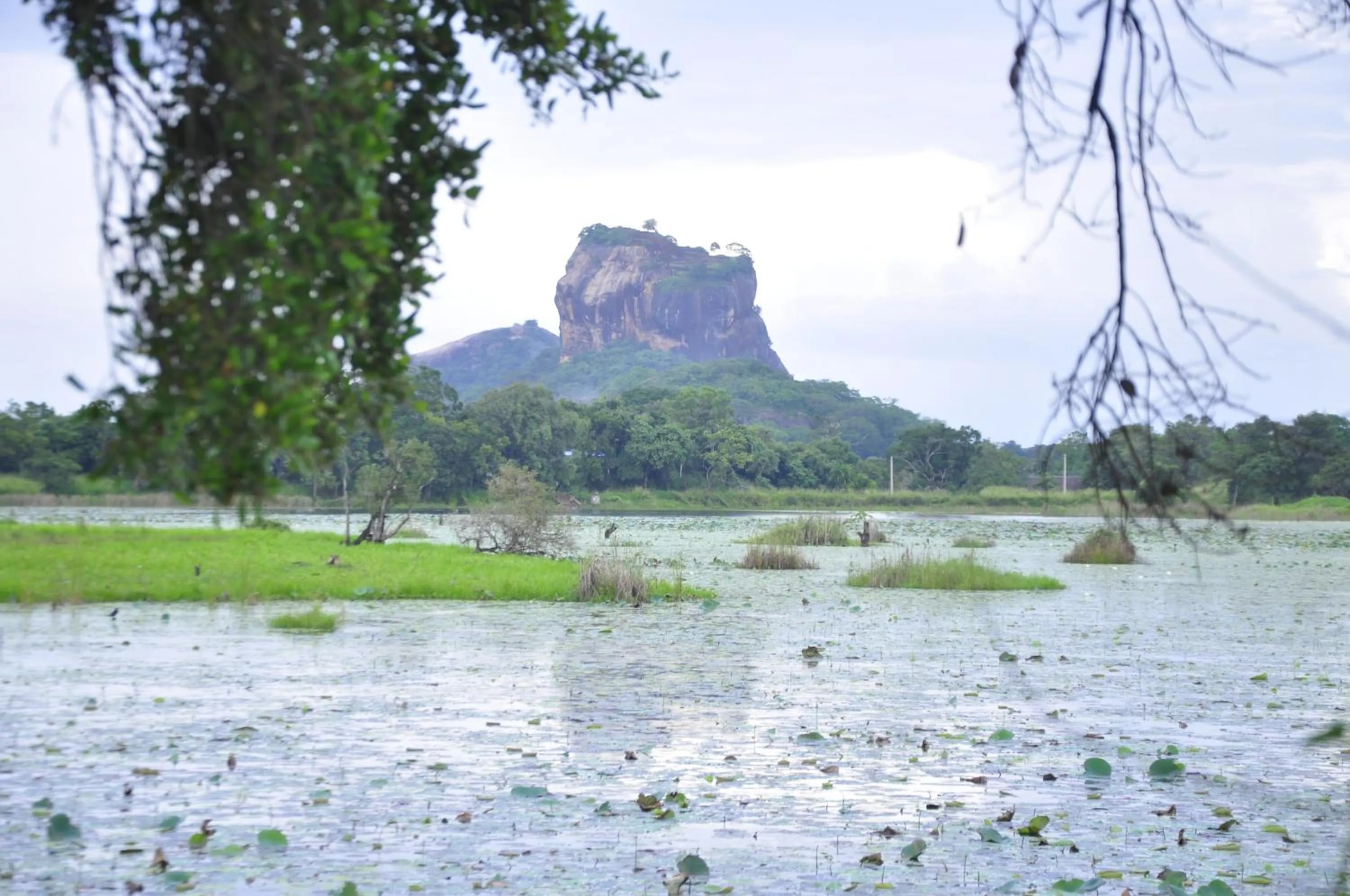 Hiking in Rock Lake Home Stay