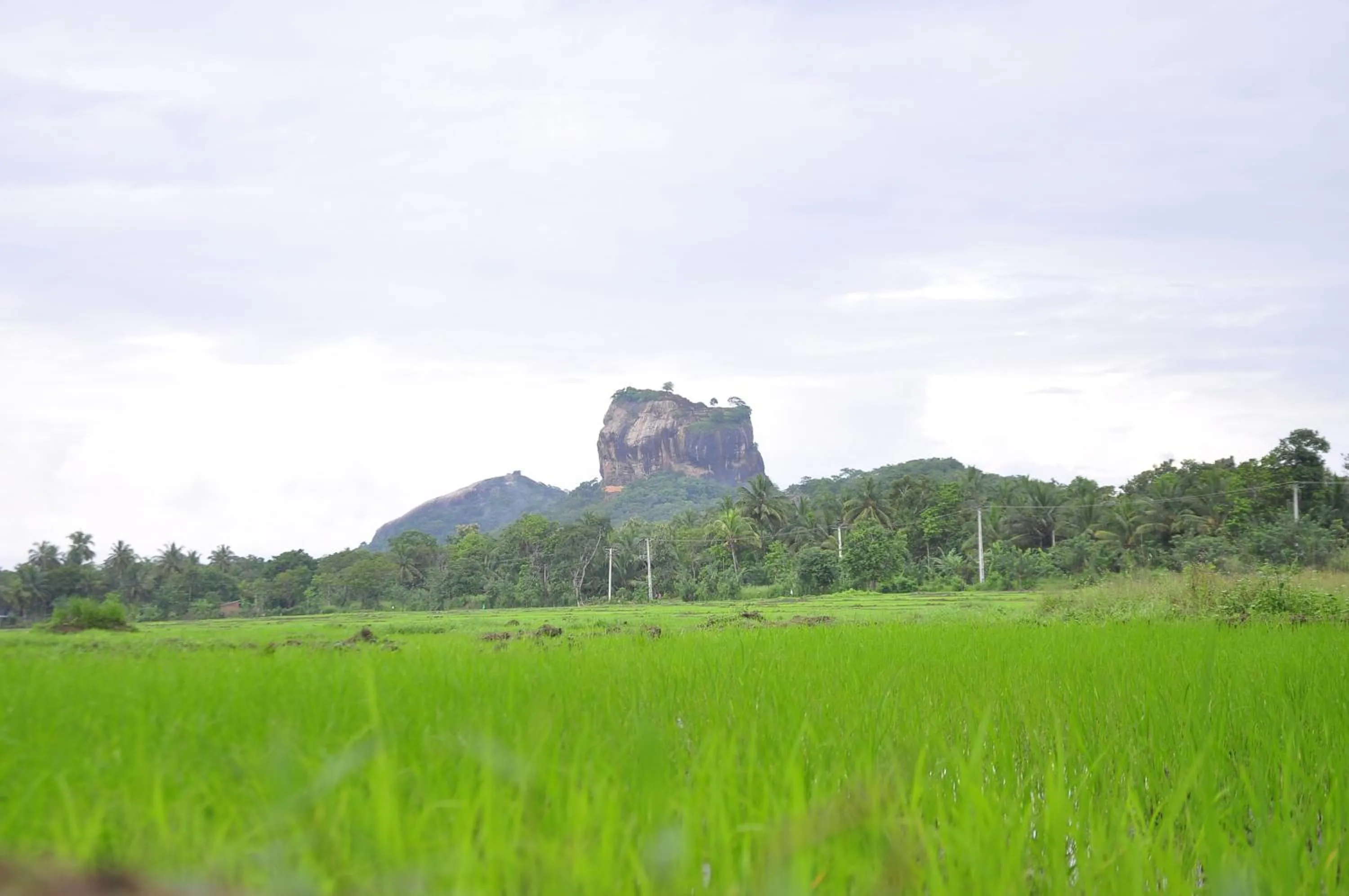 Natural landscape in Rock Lake Home Stay