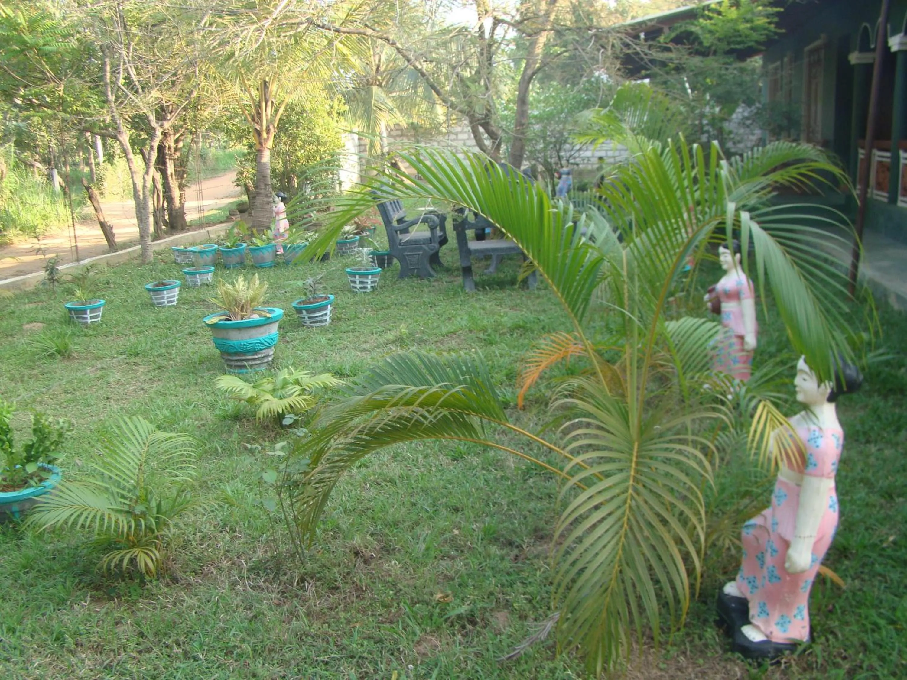 Garden view in Rock Lake Home Stay